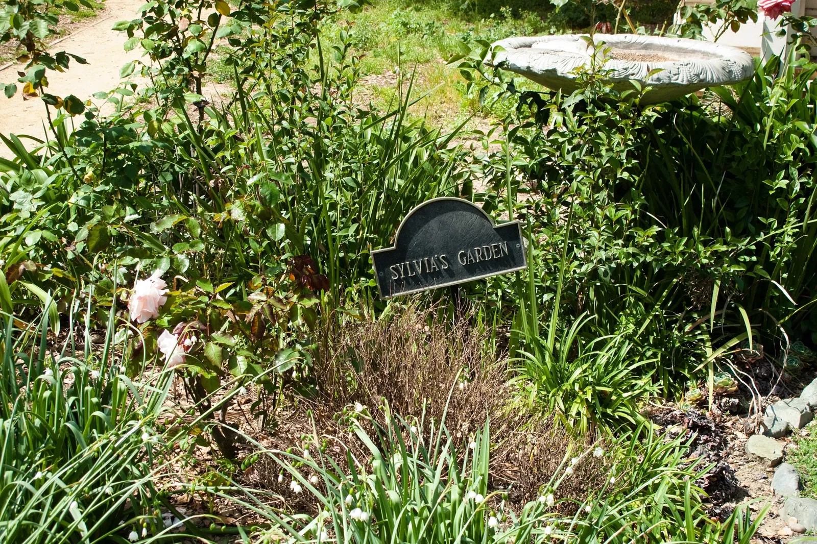 History Park at Kelley Park