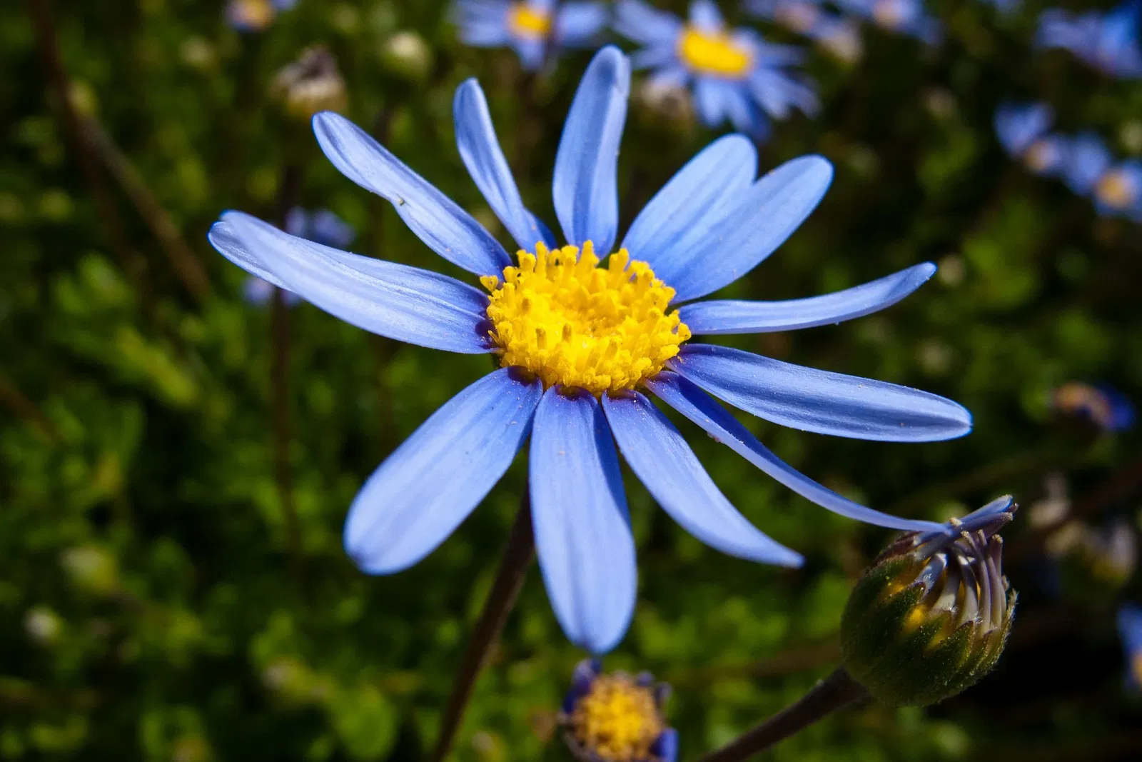 History Park at Kelley Park