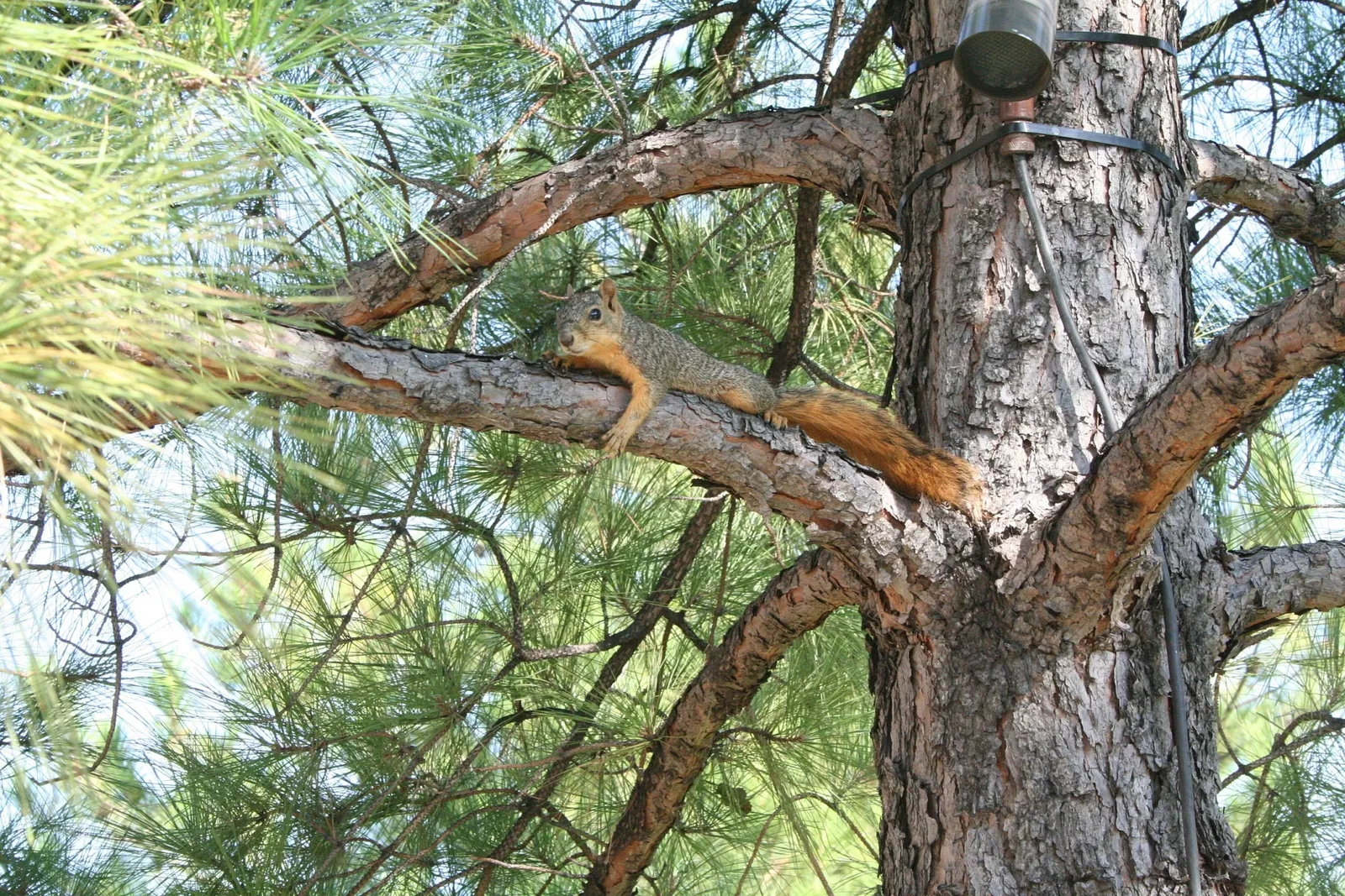 Monumento Conmemorativo Nacional de Oklahoma City