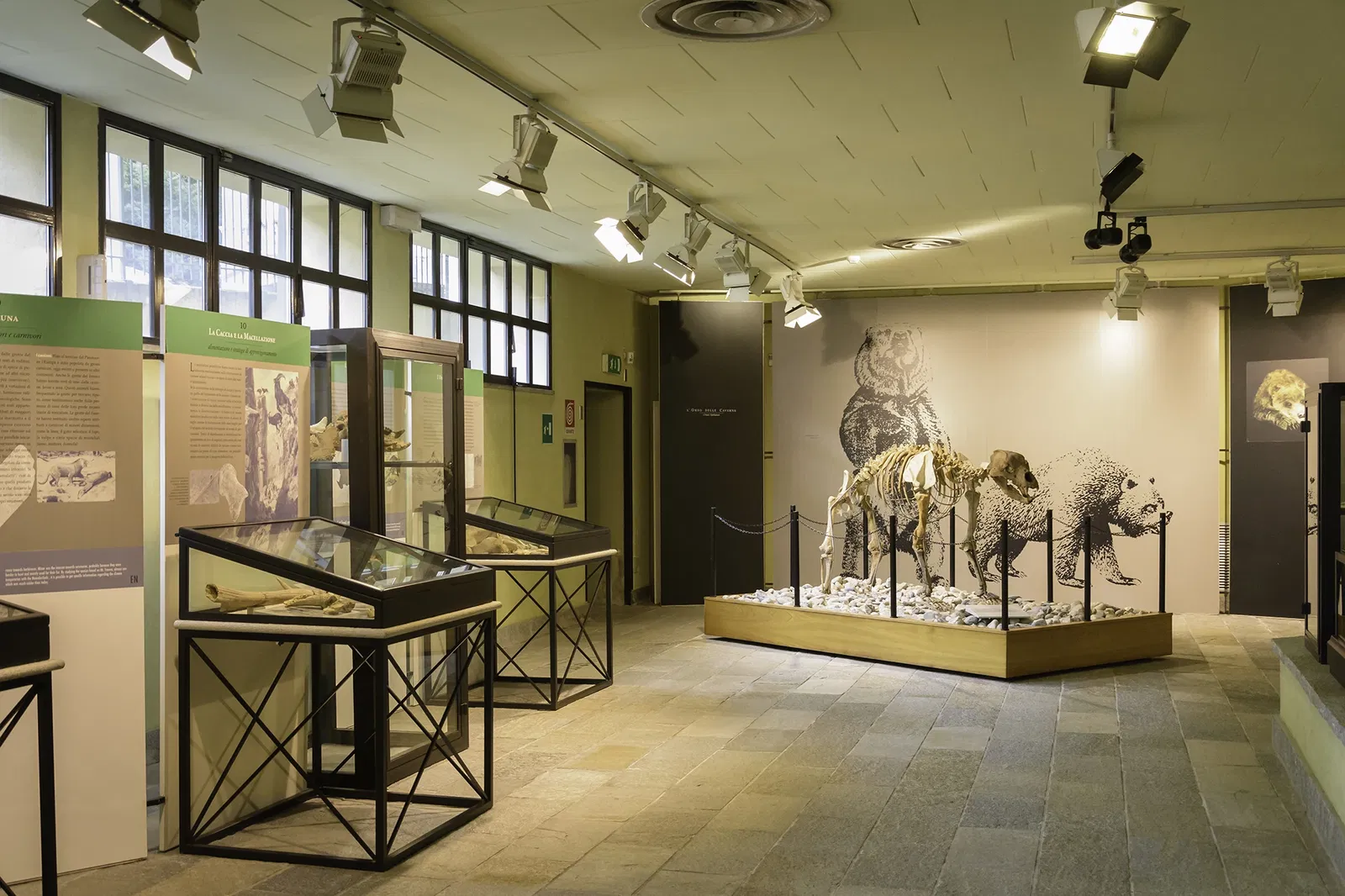 Museo di Archeologia e Paleontologia Carlo Conti