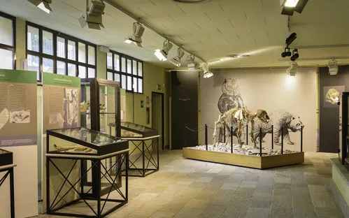 Museo di Archeologia e Paleontologia Carlo Conti
