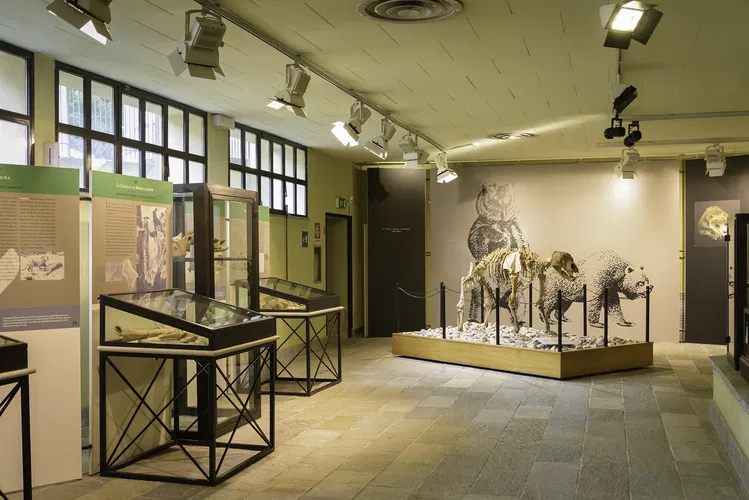 Museo di Archeologia e Paleontologia Carlo Conti