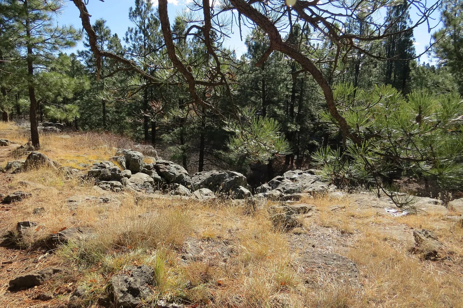 Museum of Northern Arizona Flagstaff