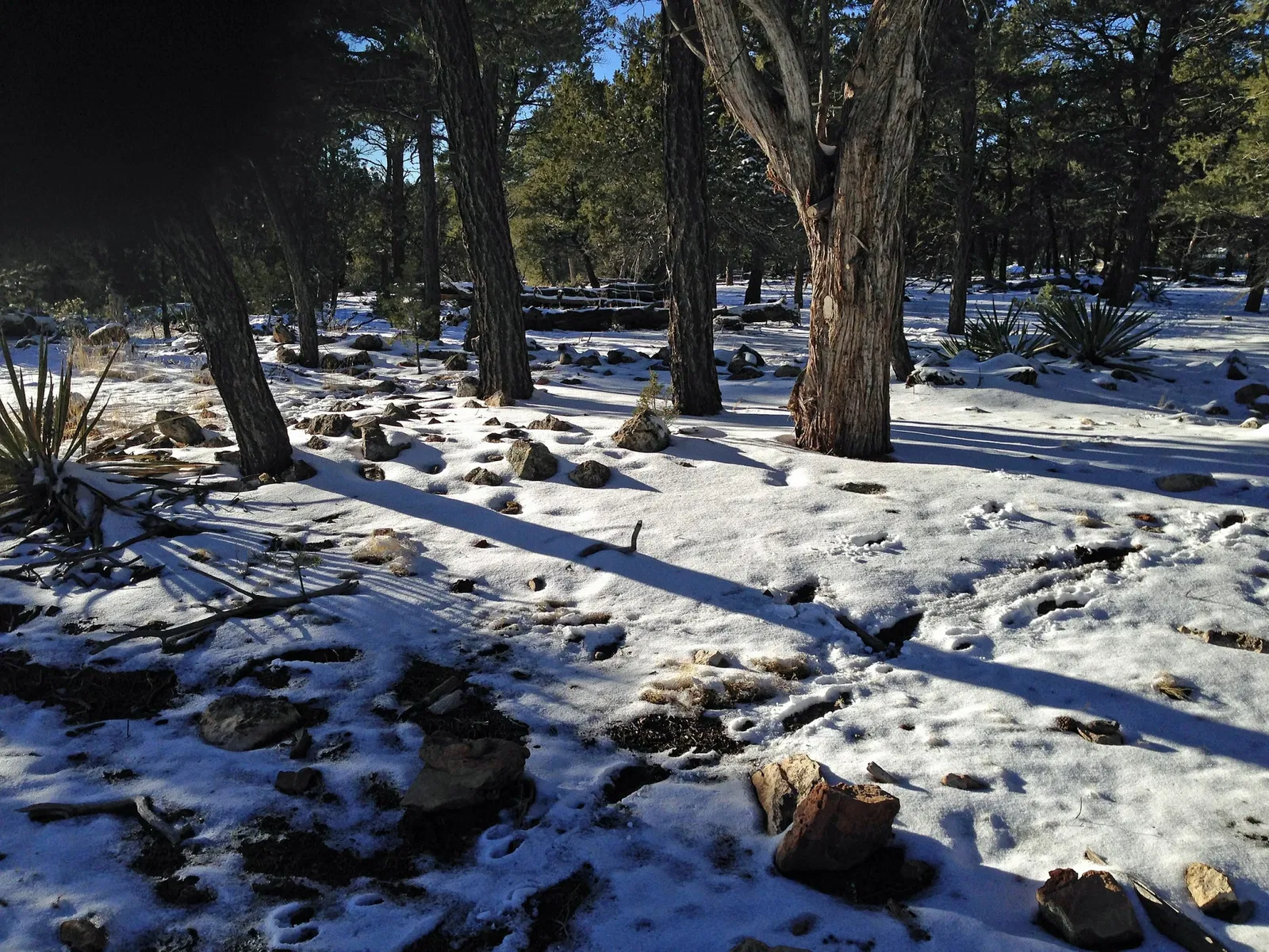 Walnut Canyon National Monument