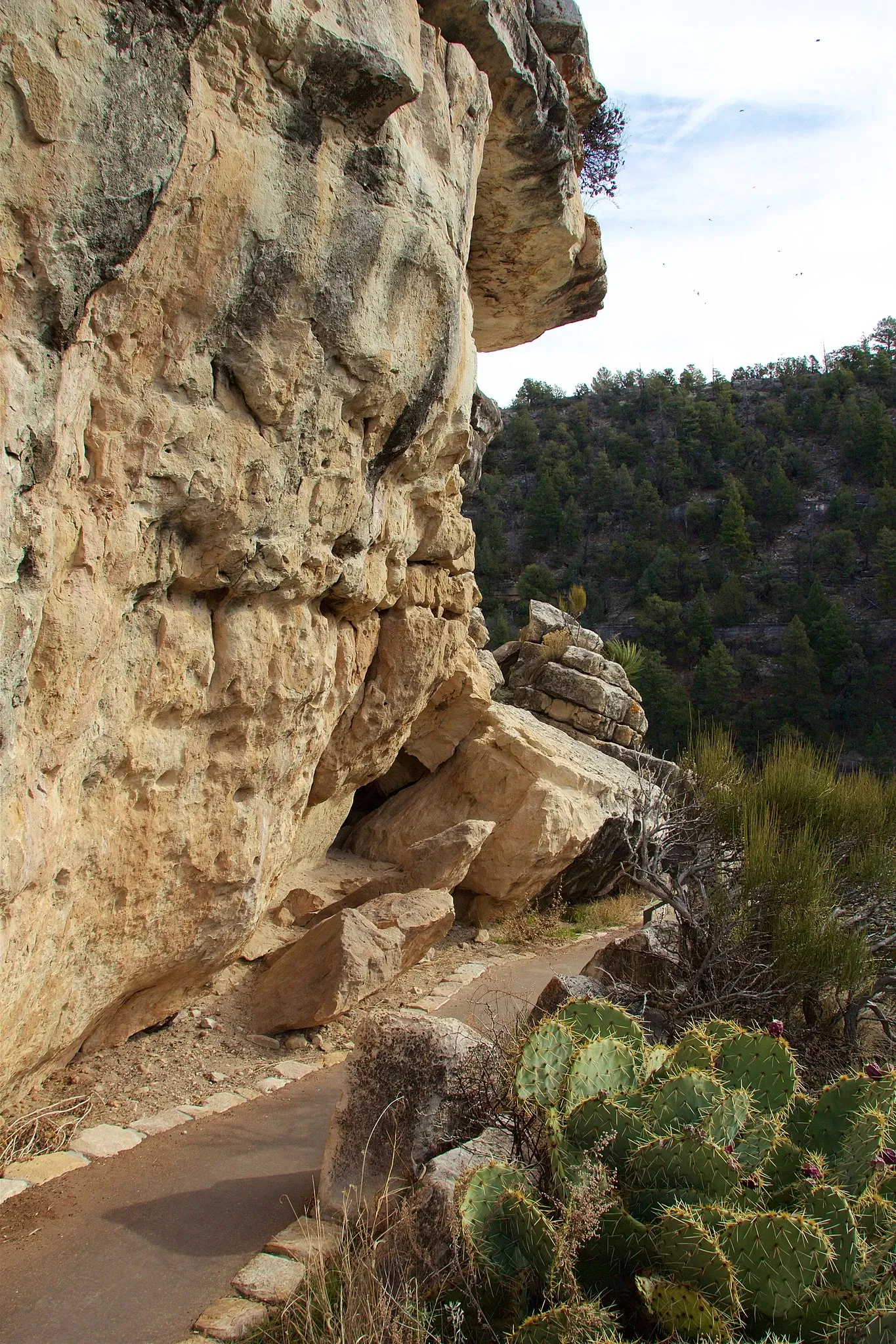 Walnut Canyon National Monument
