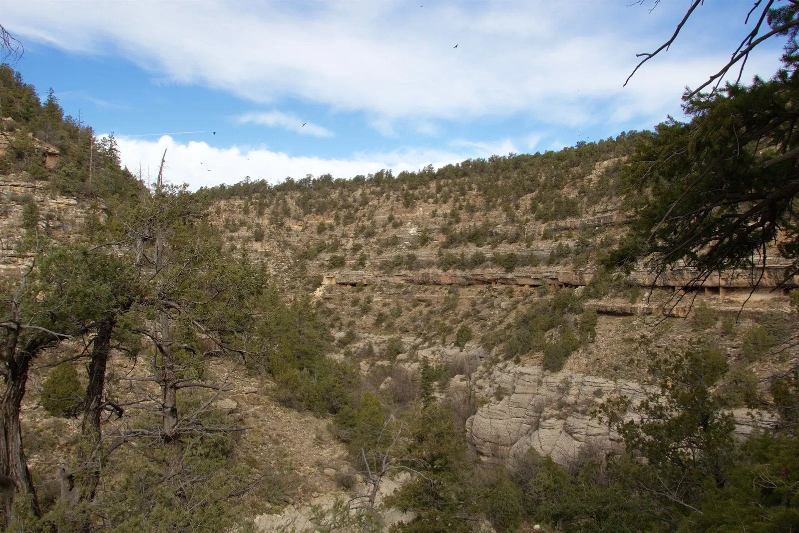 Walnut Canyon National Monument