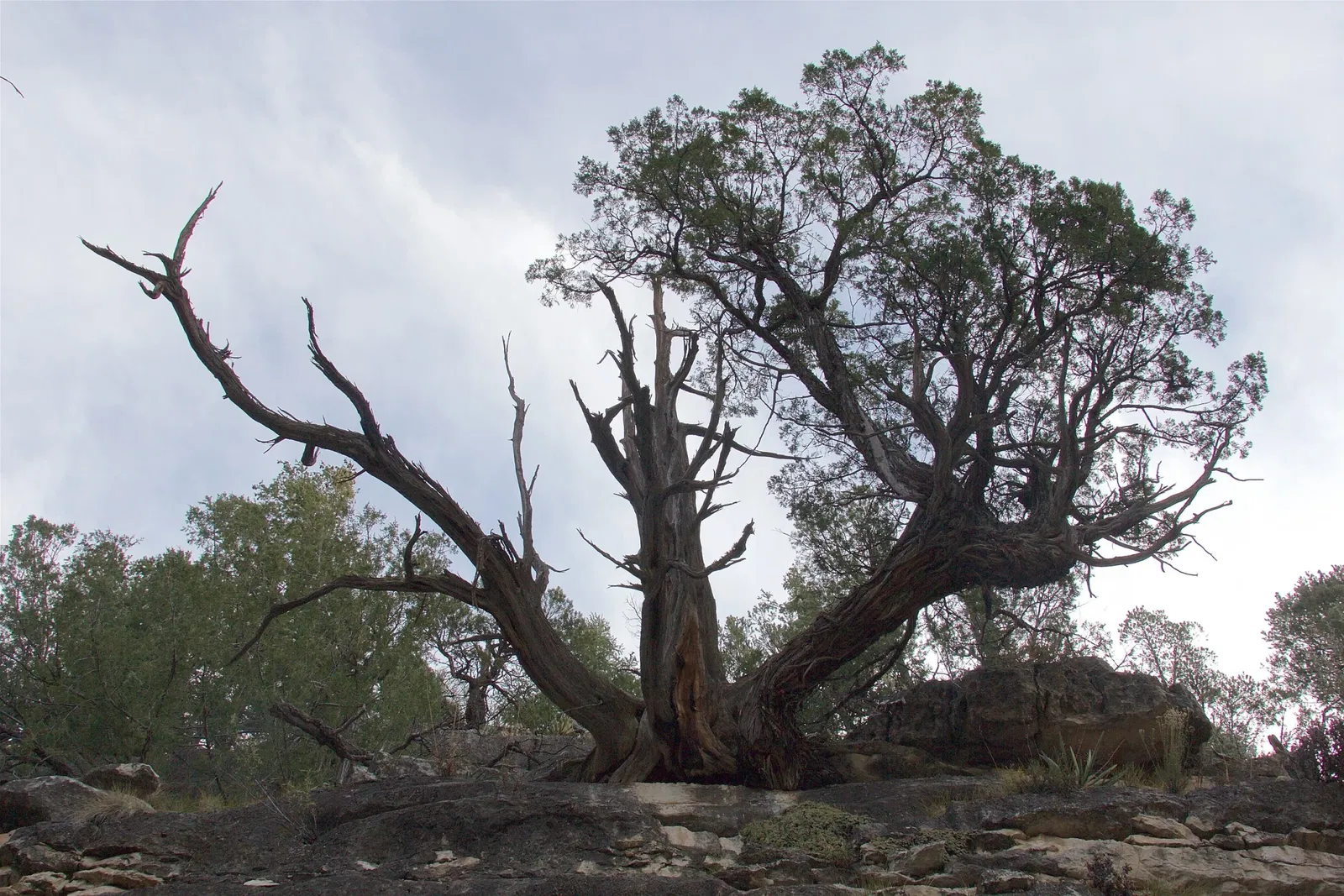 Walnut Canyon National Monument