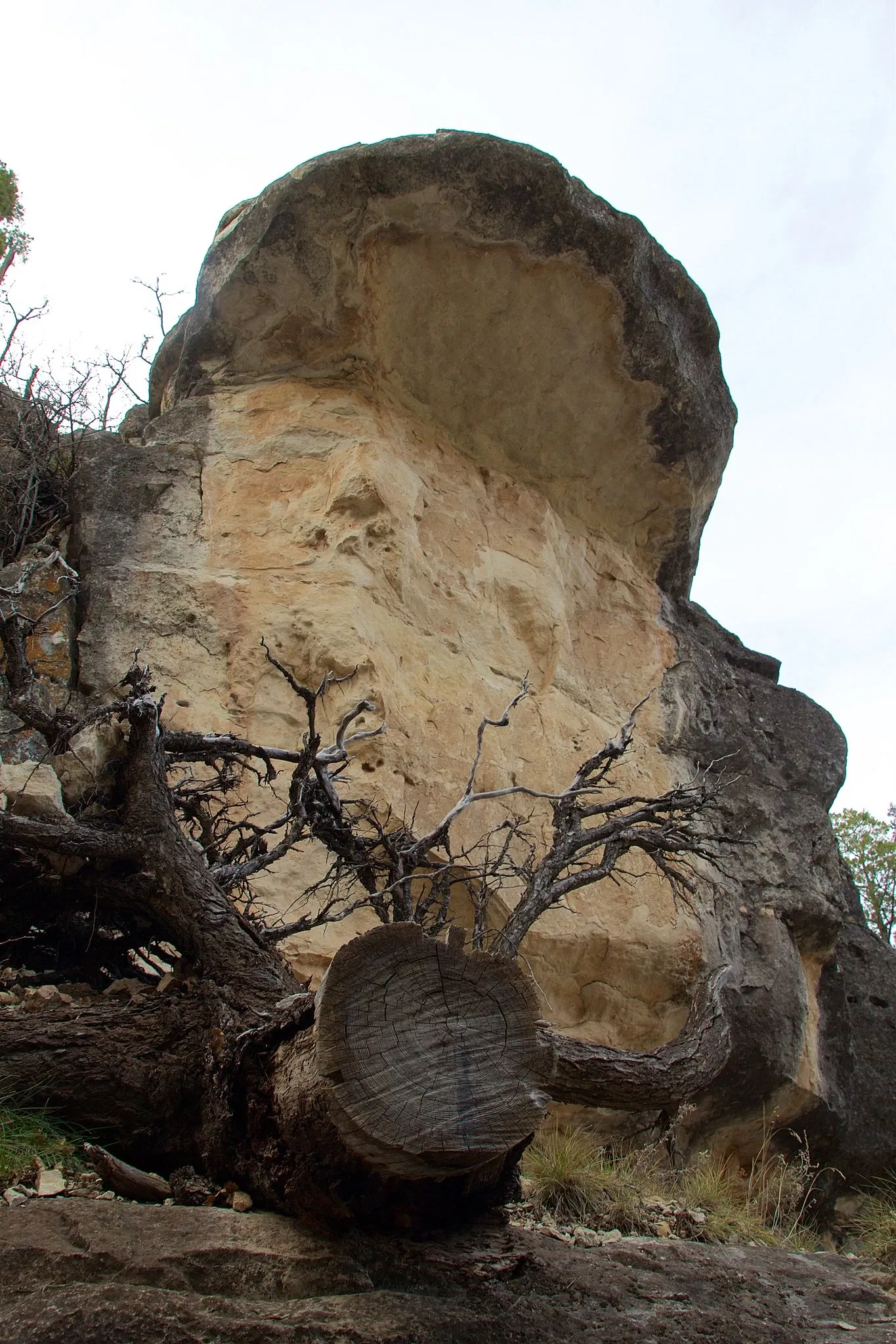 Walnut Canyon National Monument
