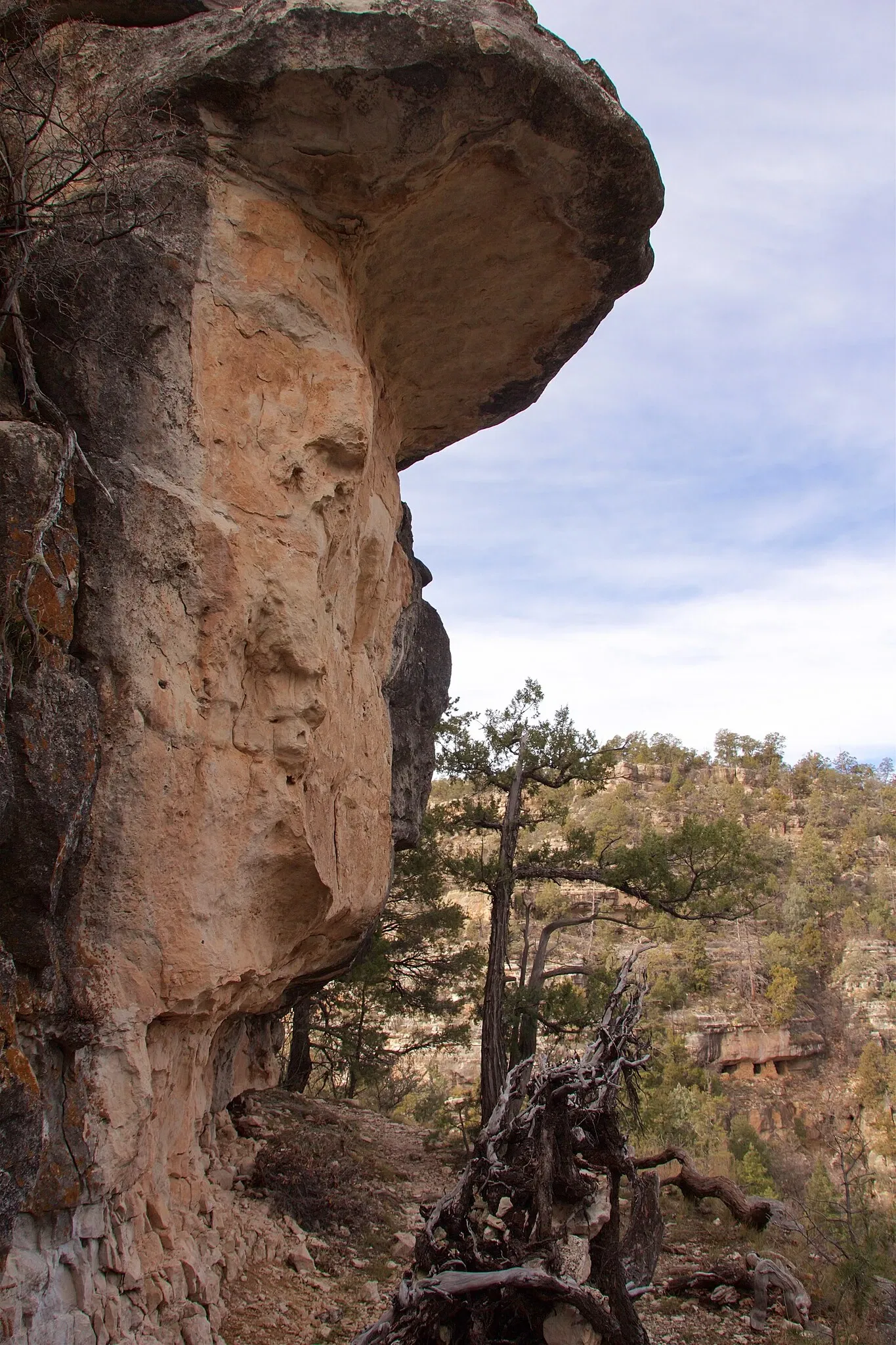 Walnut Canyon National Monument