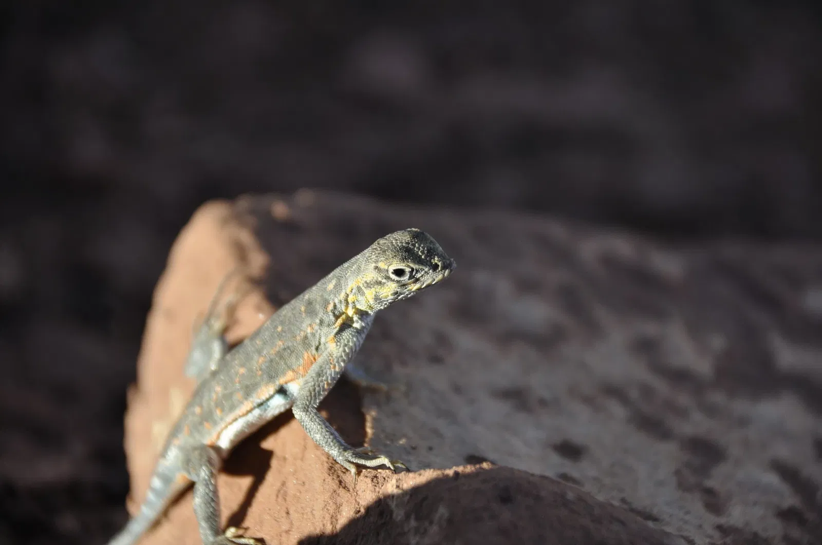 Monumento nacional Wupatki