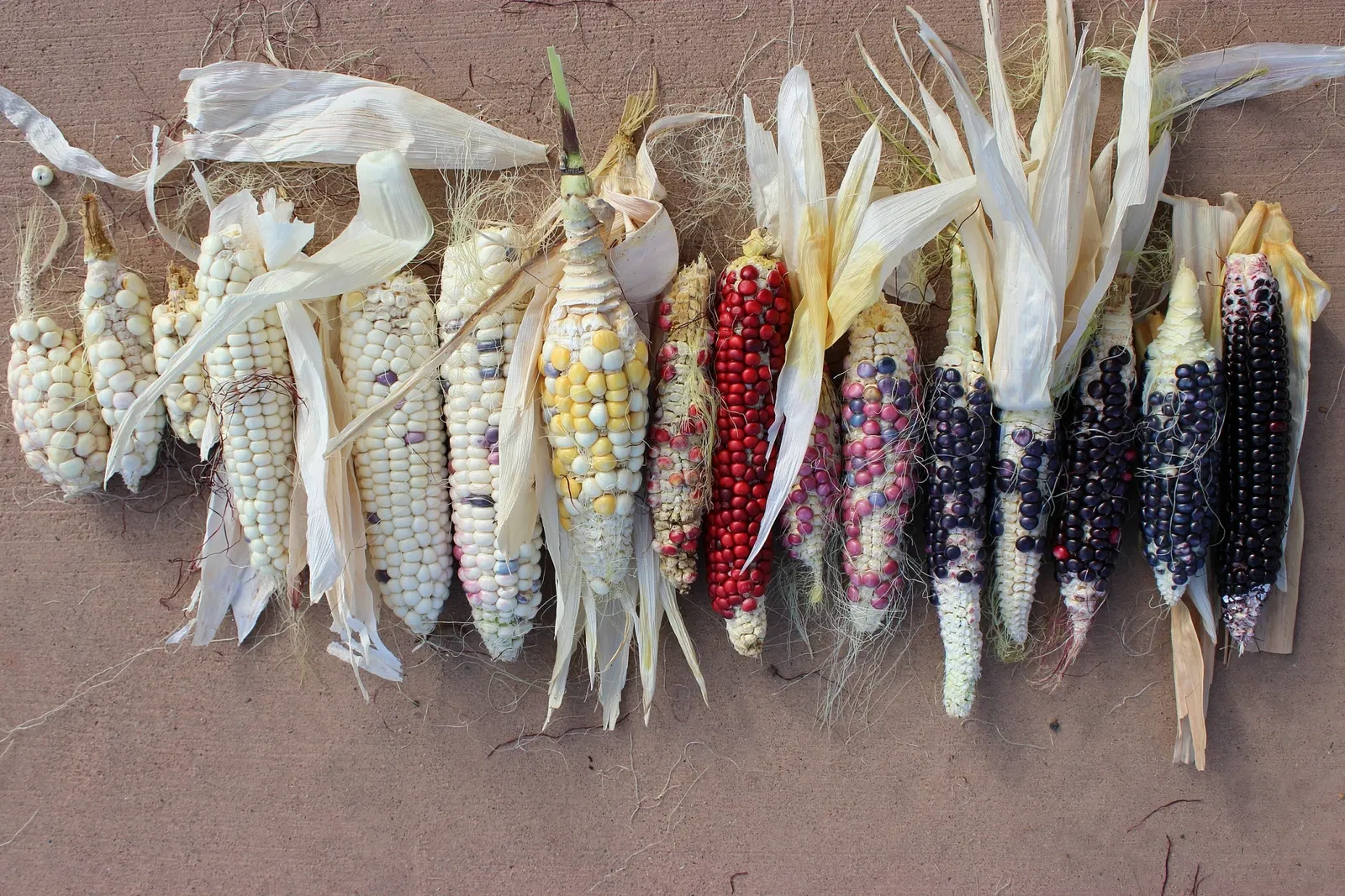 Wupatki National Monument