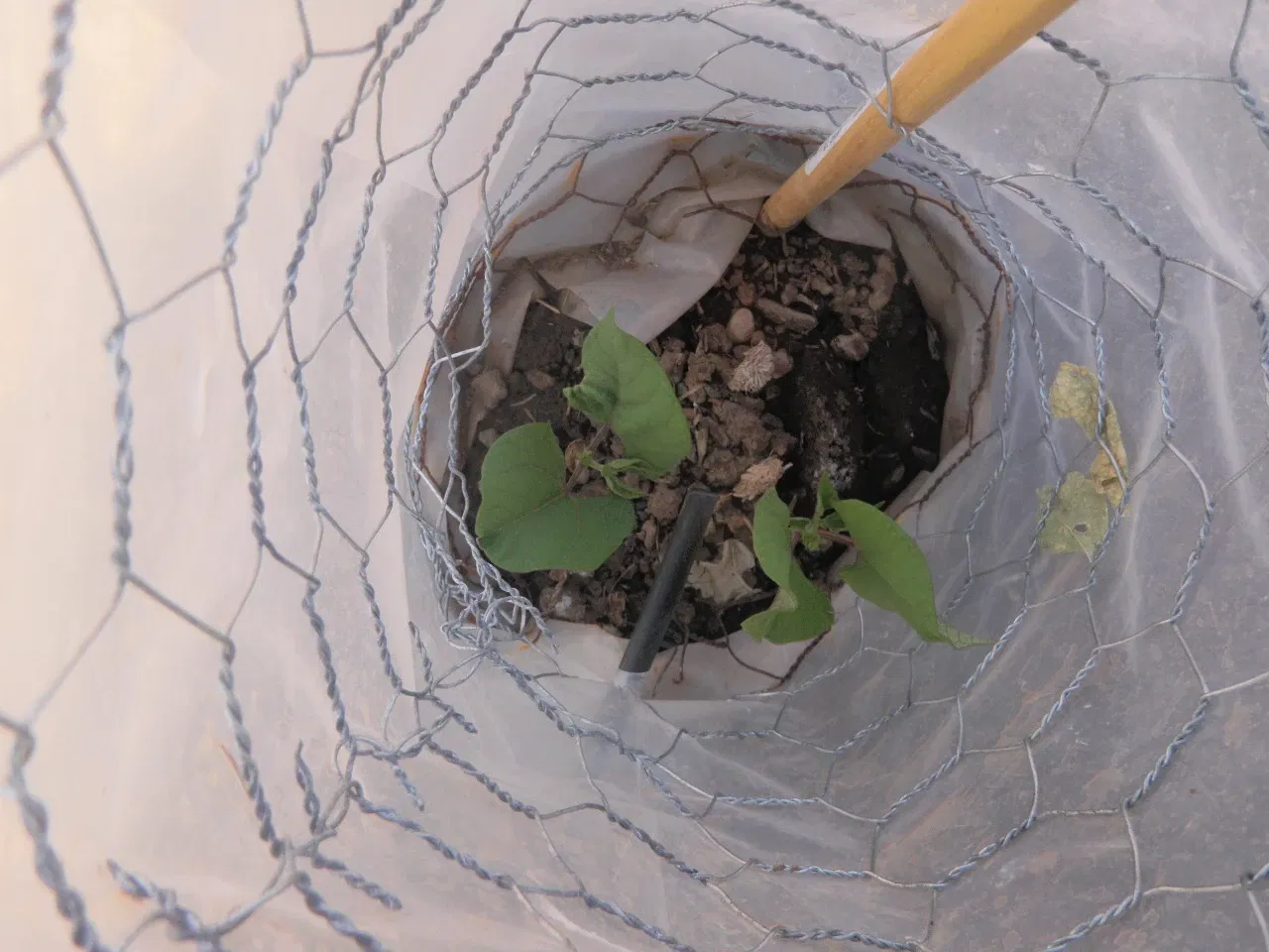 Monumento nacional Wupatki