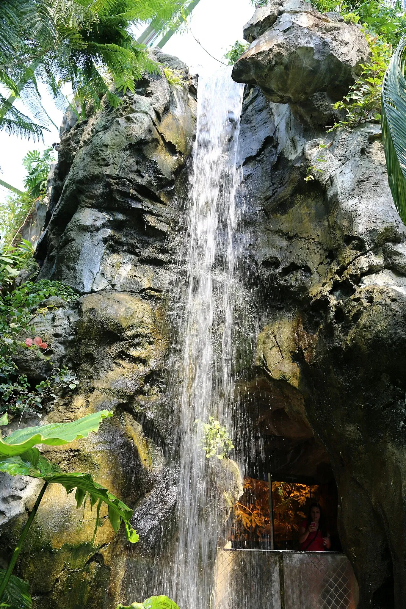 Zoológico de Búfalo