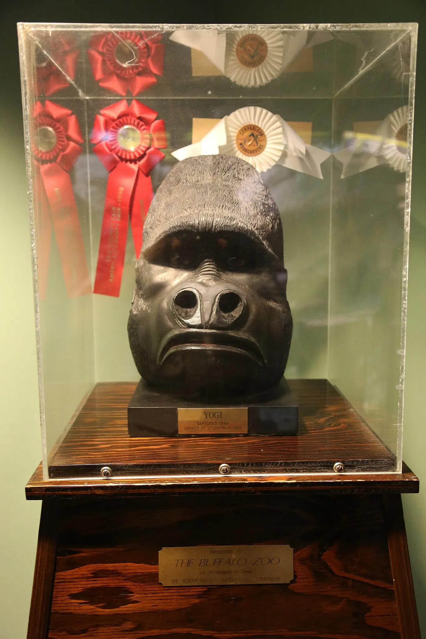 Zoológico de Búfalo