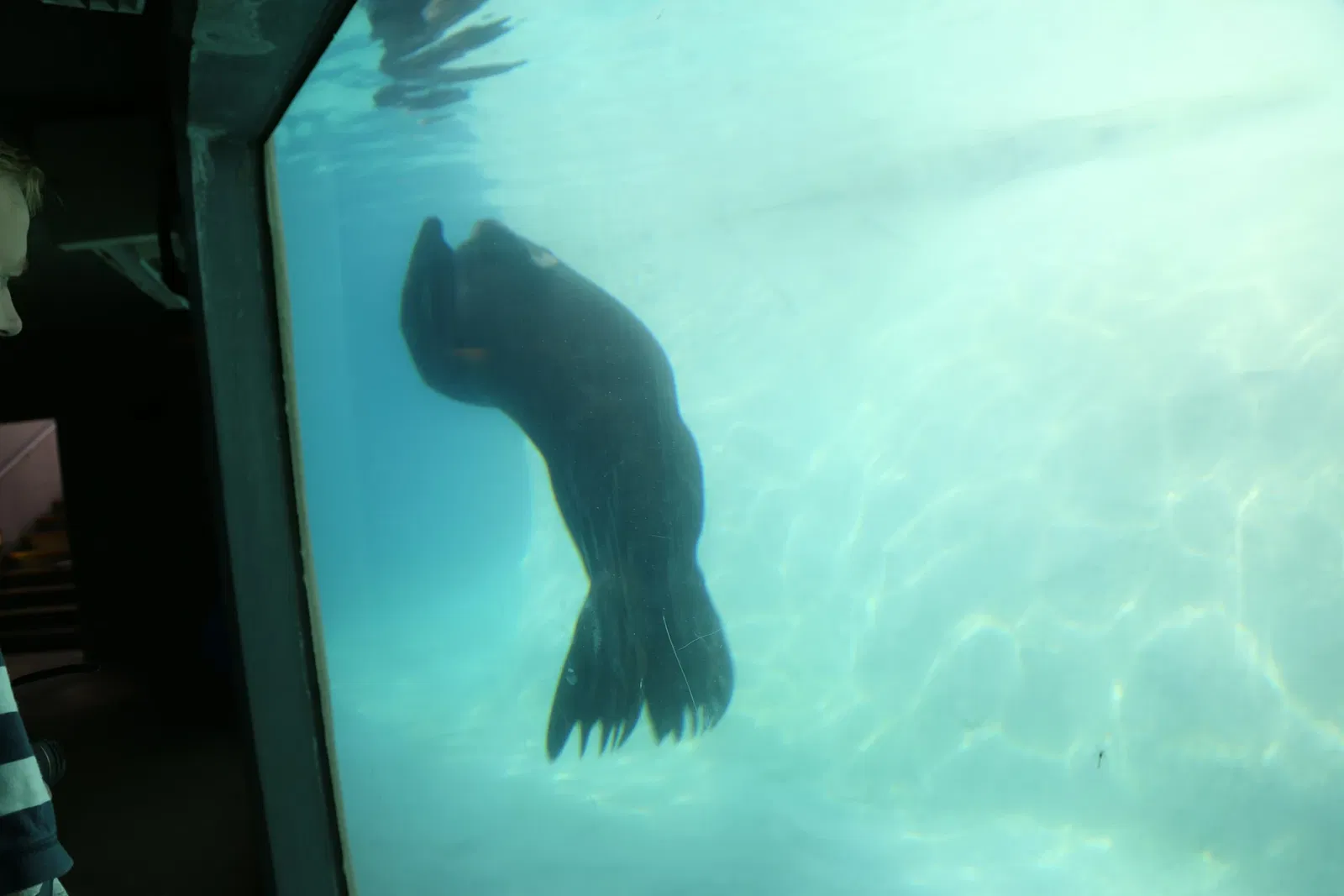 Zoológico de Búfalo