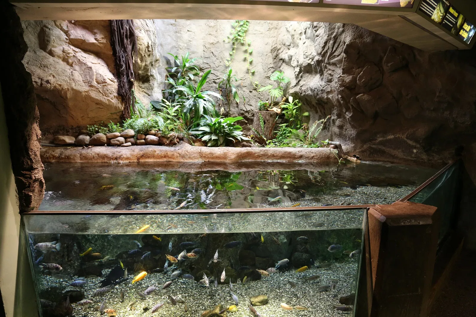 Zoológico de Búfalo