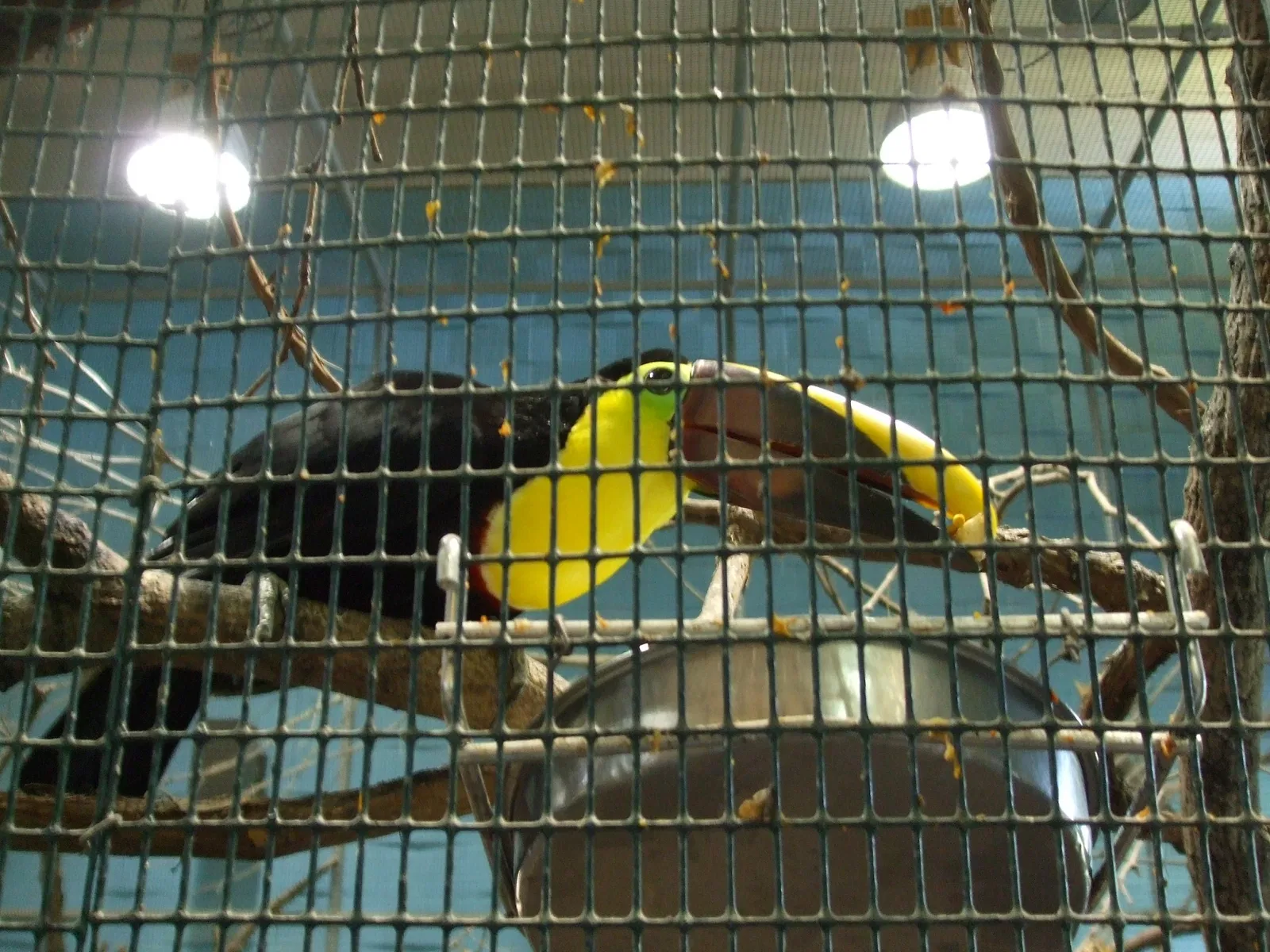 Zoológico de Búfalo