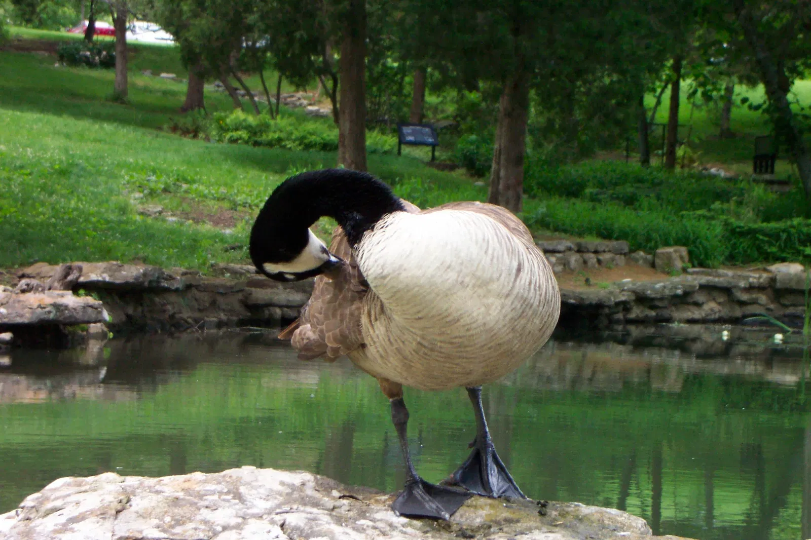 Cheekwood Botanical Gardens & Museum of Art