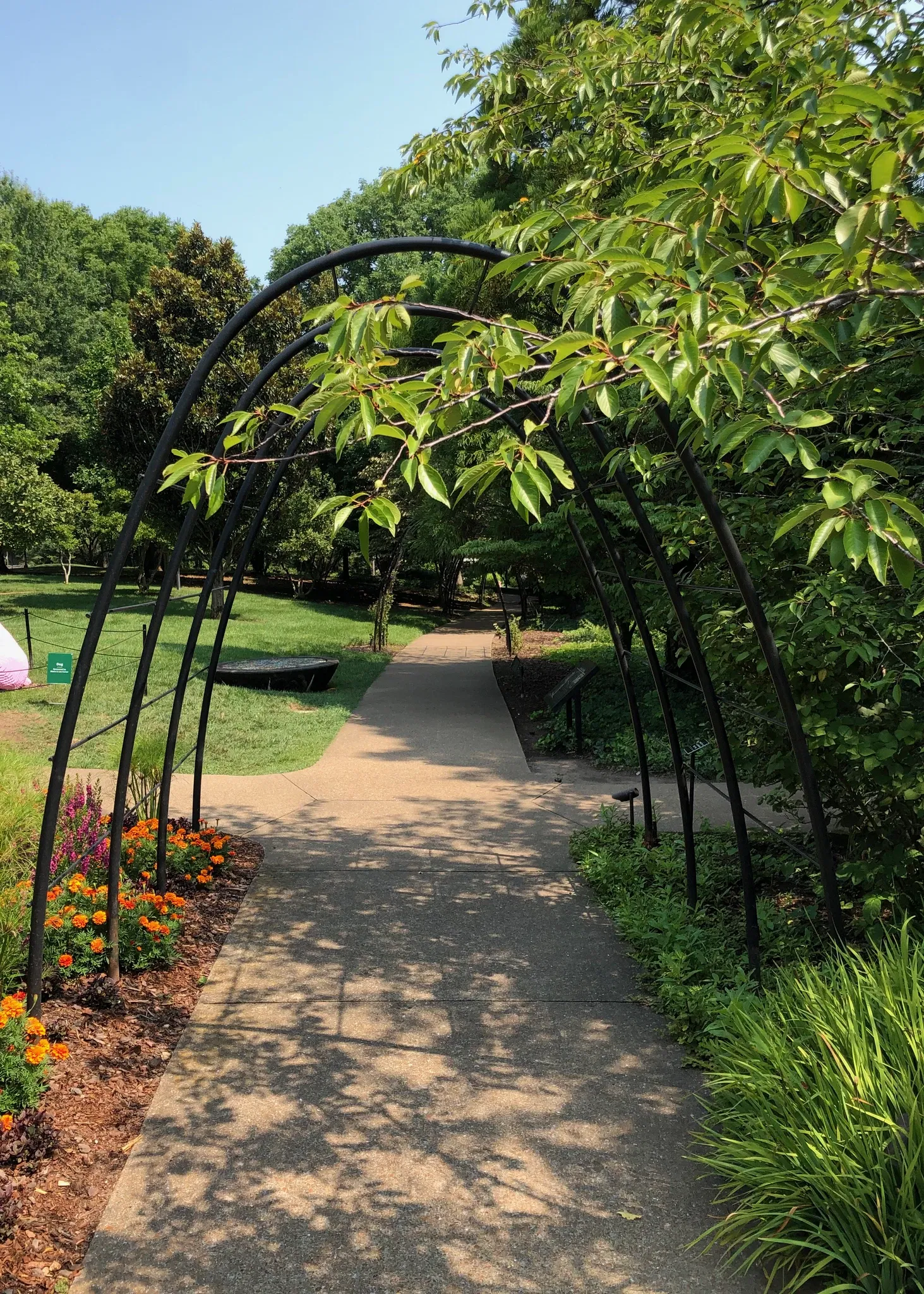 Cheekwood Botanical Garden and Museum of Art