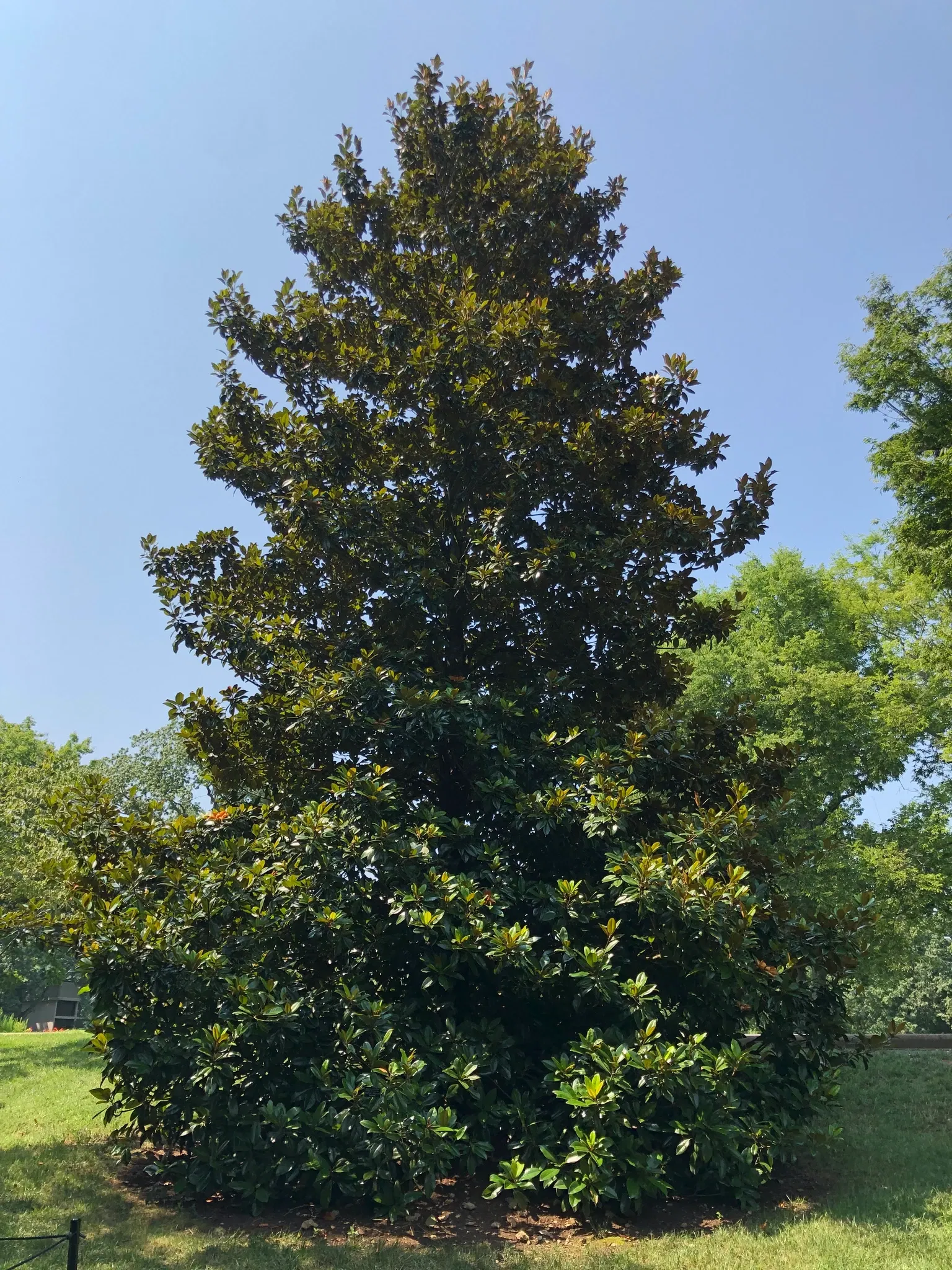 Cheekwood Botanical Gardens & Museum of Art