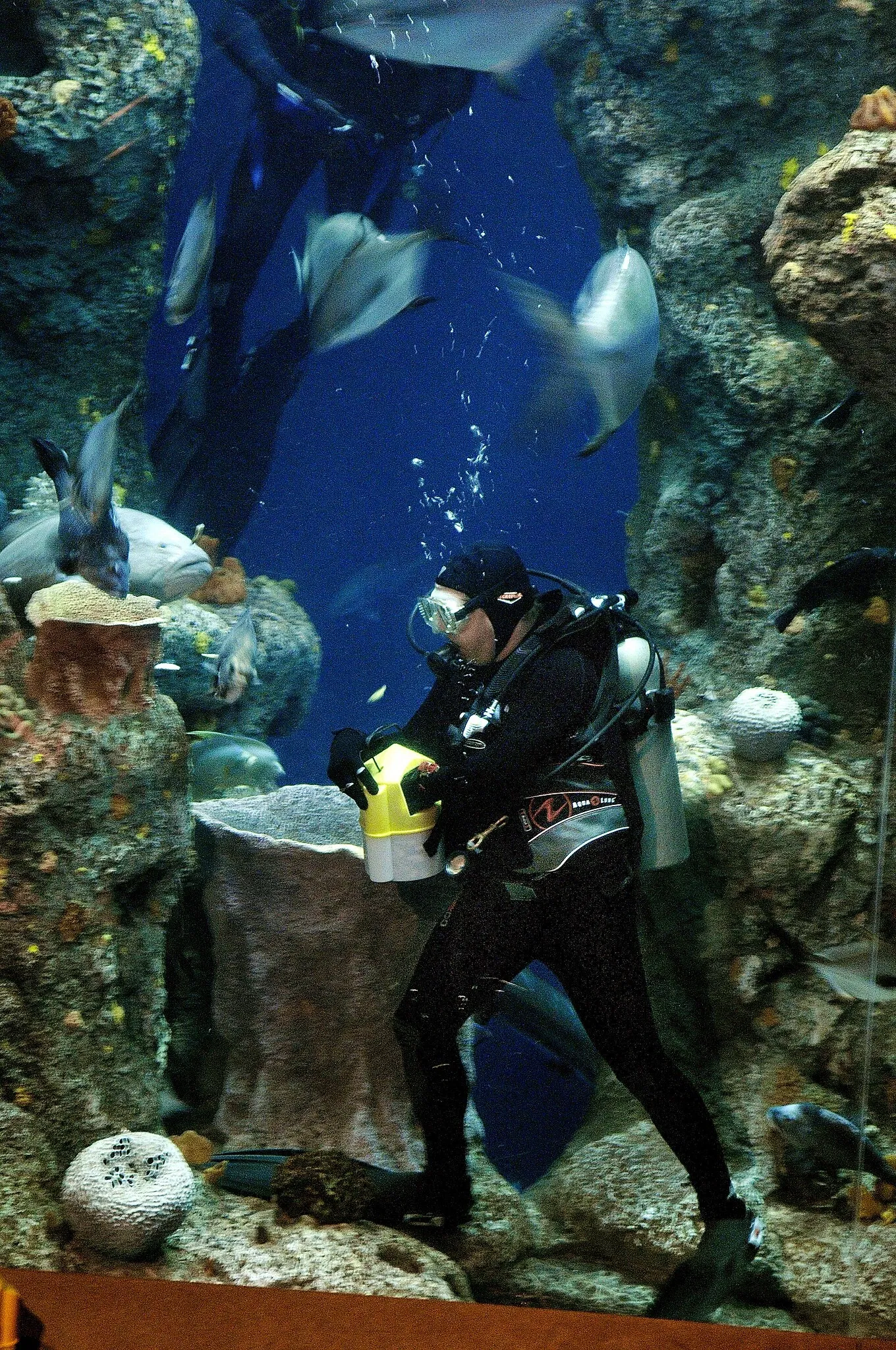 South Carolina Aquarium