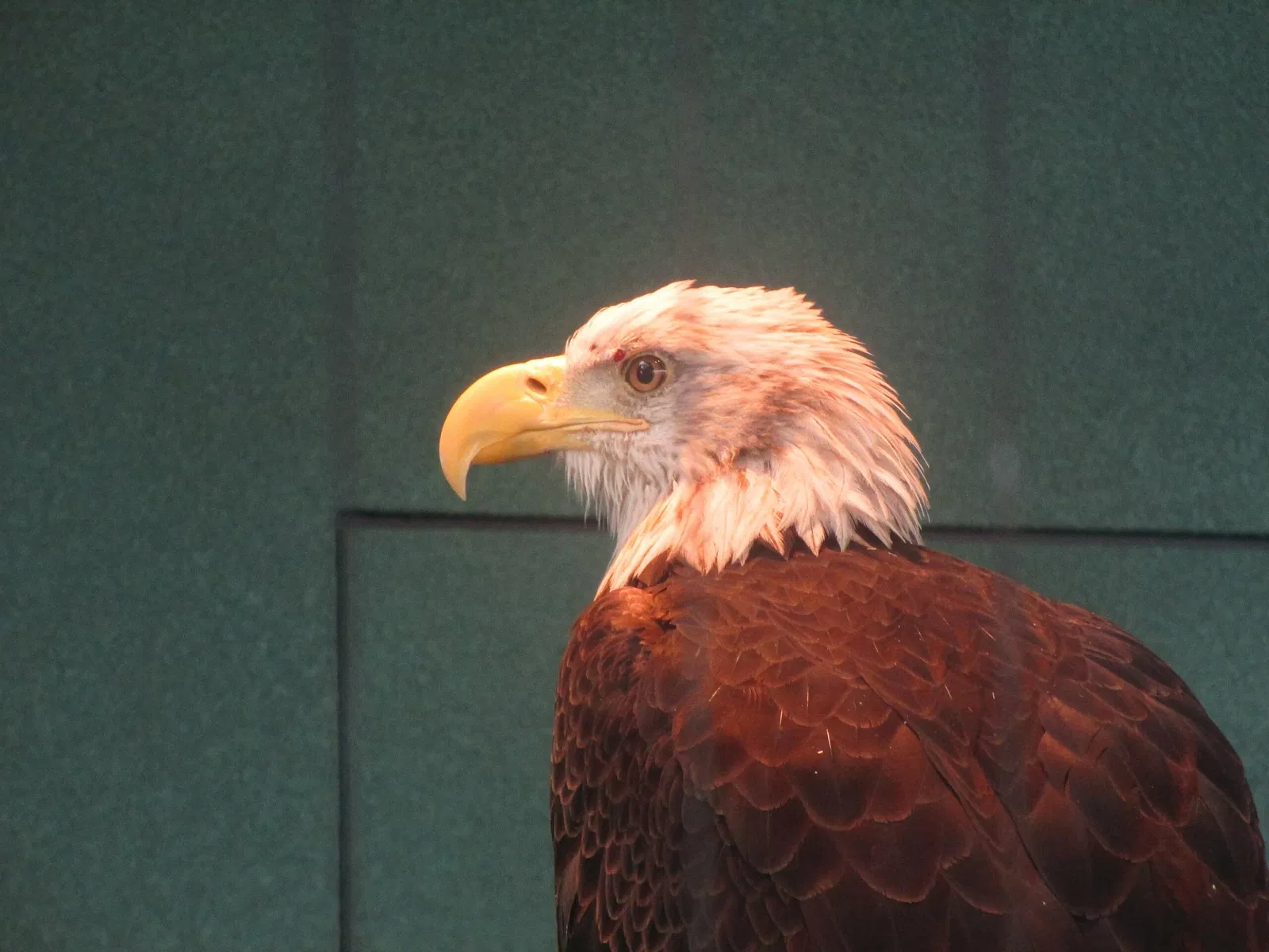 South Carolina Aquarium