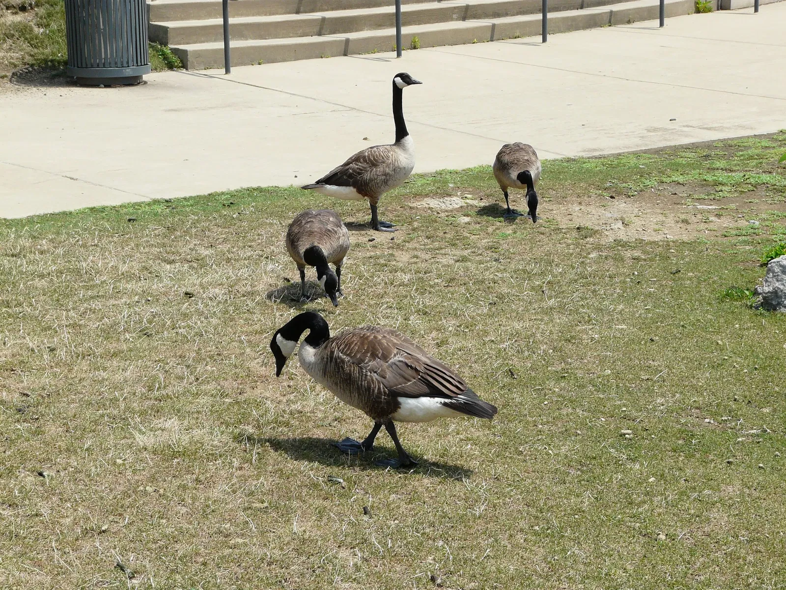 Carnegie Science Center