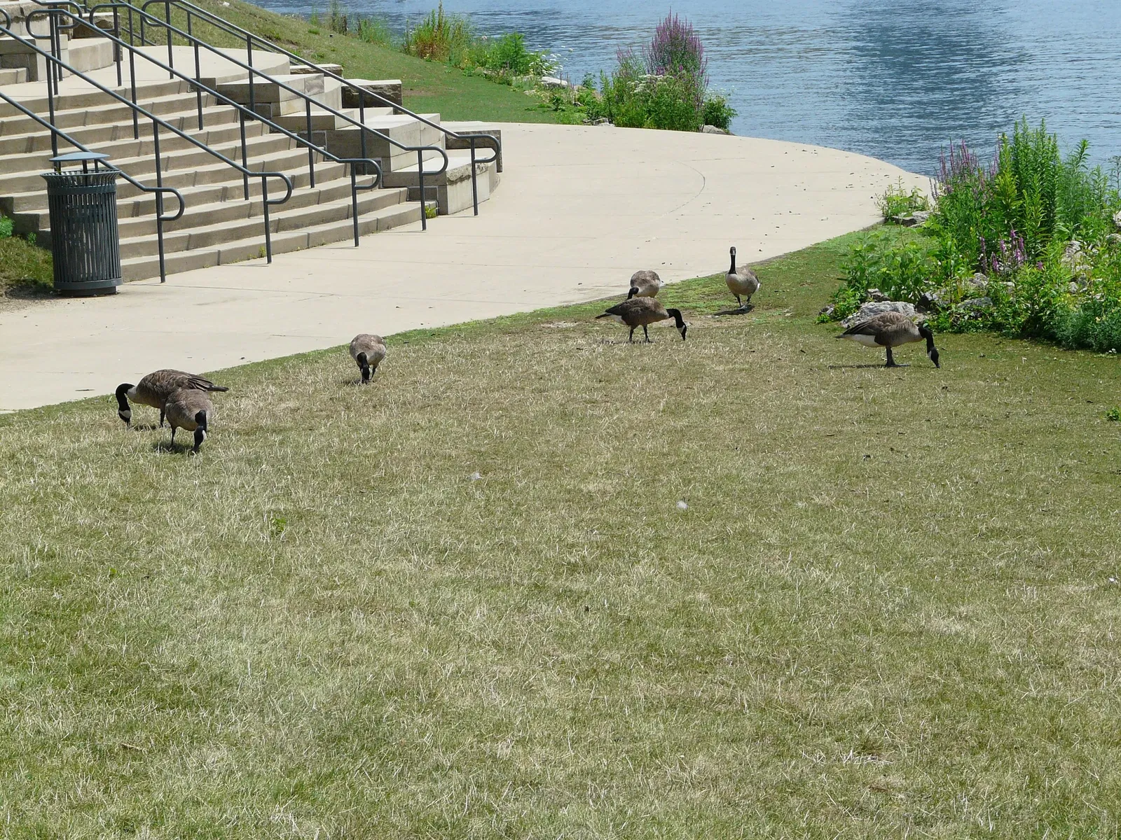 Carnegie Science Center