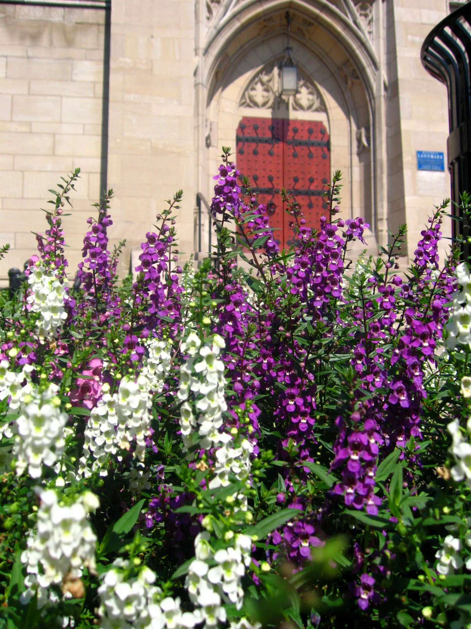 Stephen Foster Memorial Museum
