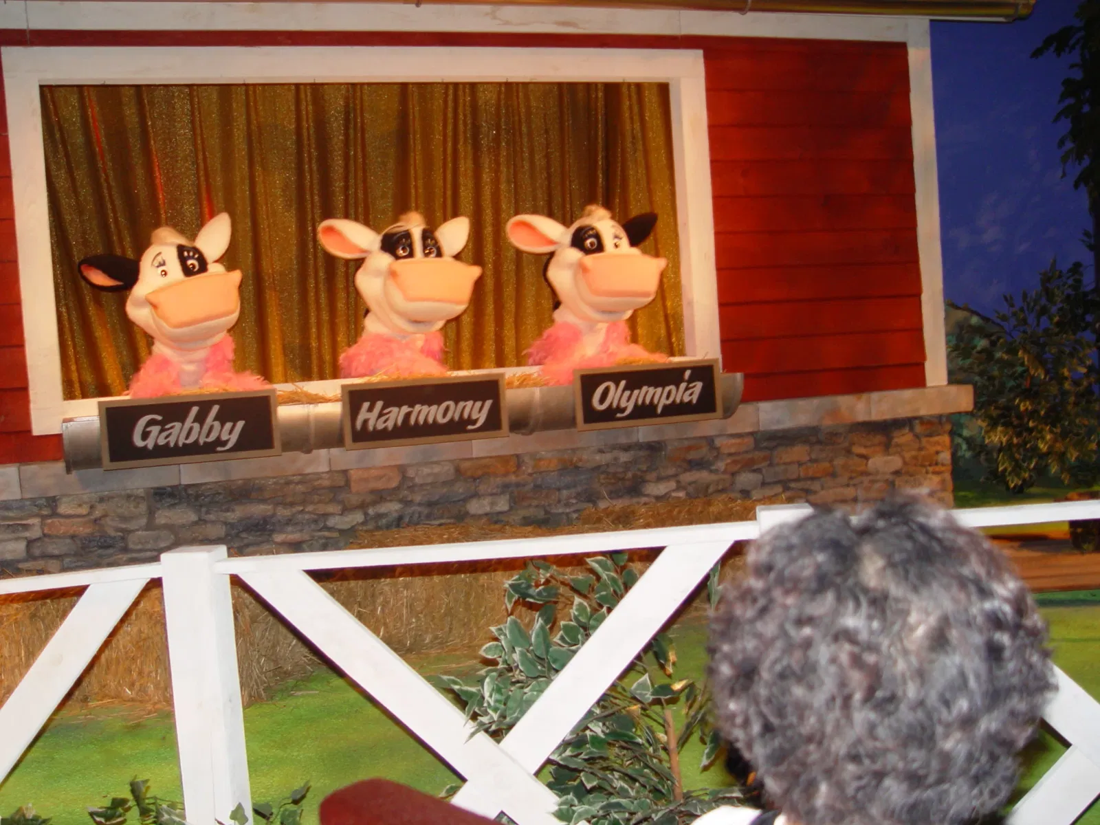 American Museum of Western Art