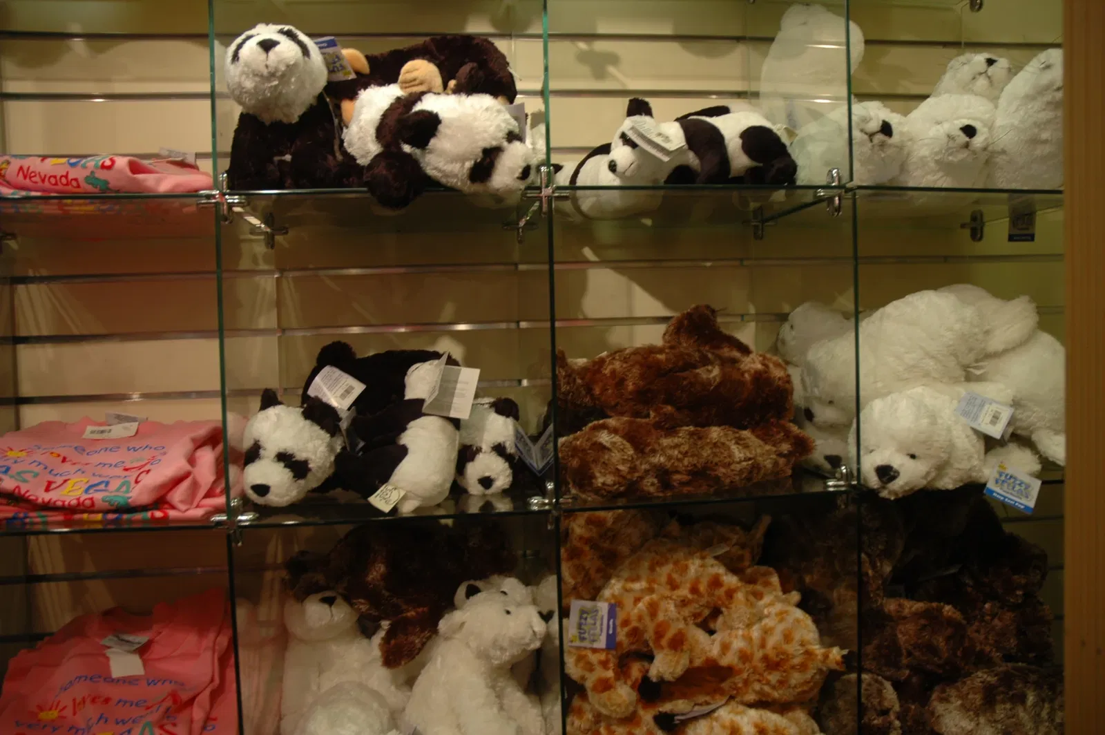 American Museum of Western Art