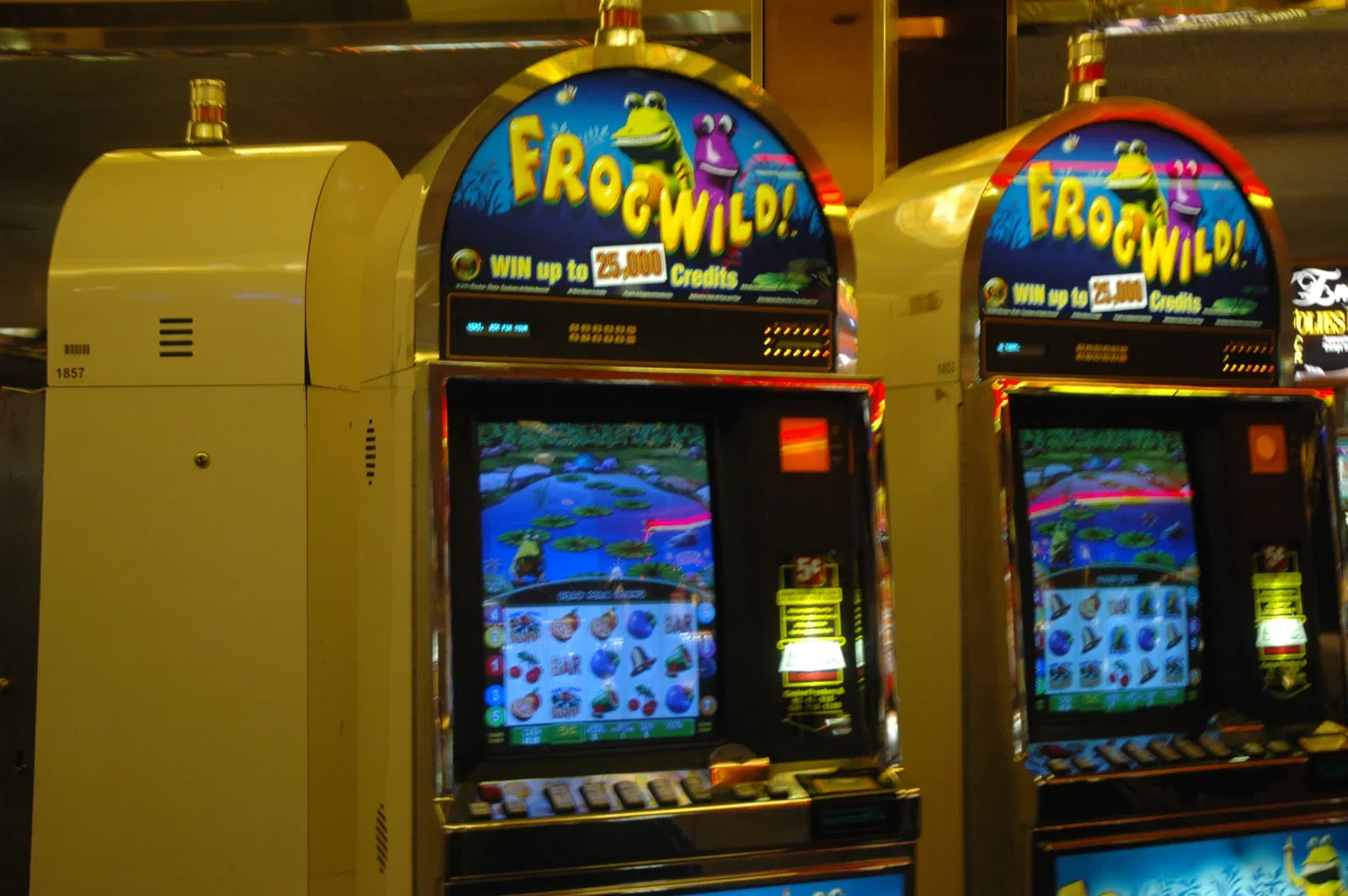 American Museum of Western Art