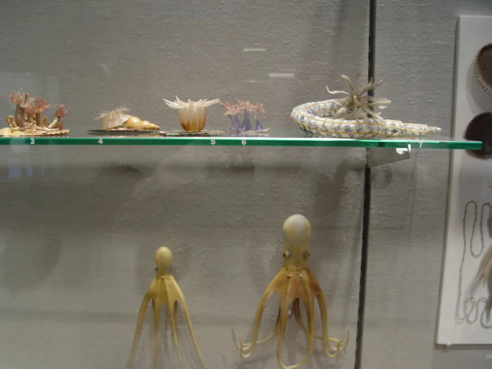 American Museum of Western Art