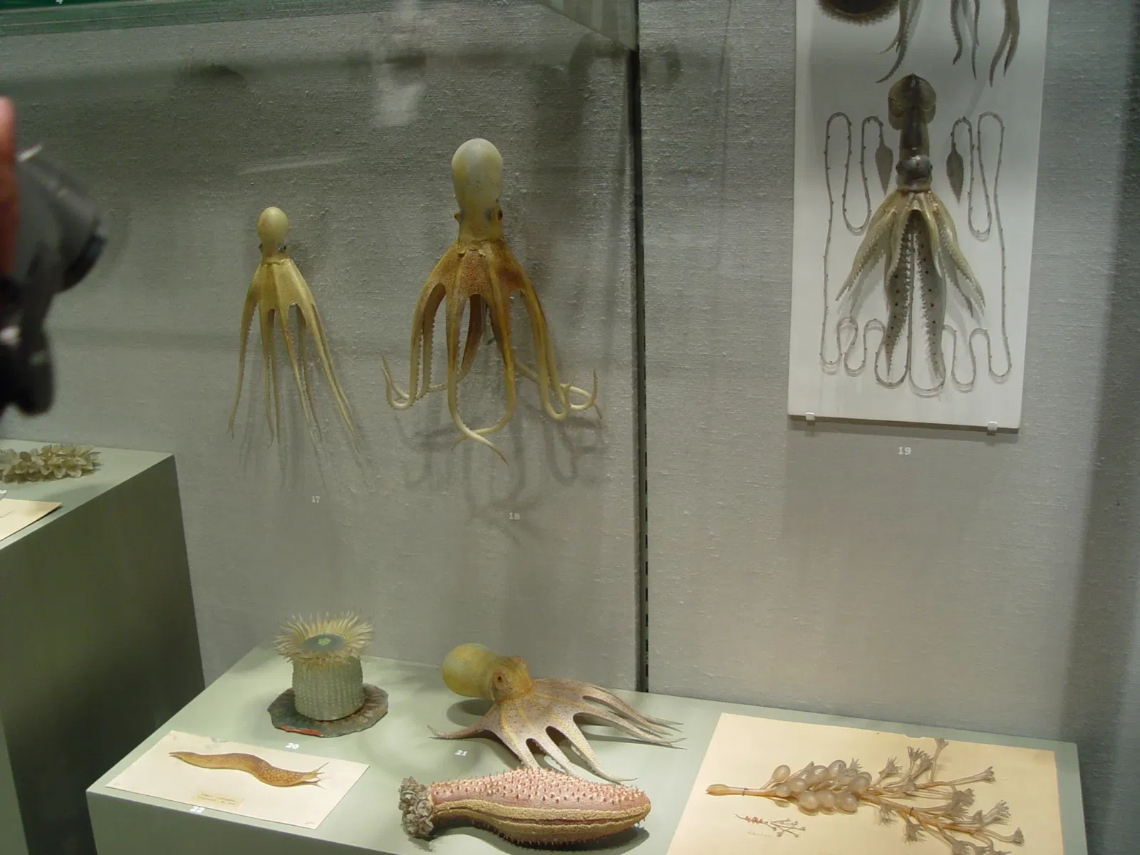 American Museum of Western Art