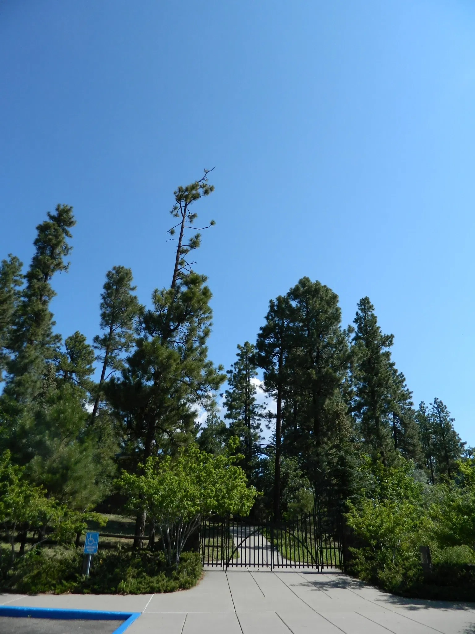 Lowell-observatorium