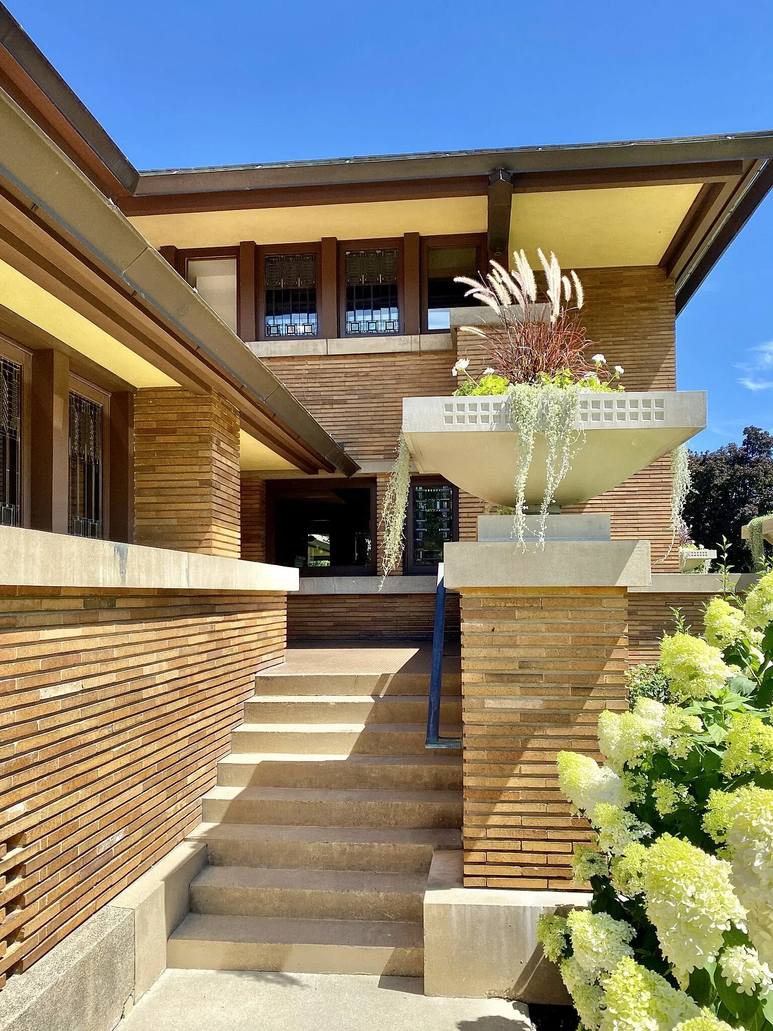 Darwin D. Martin House