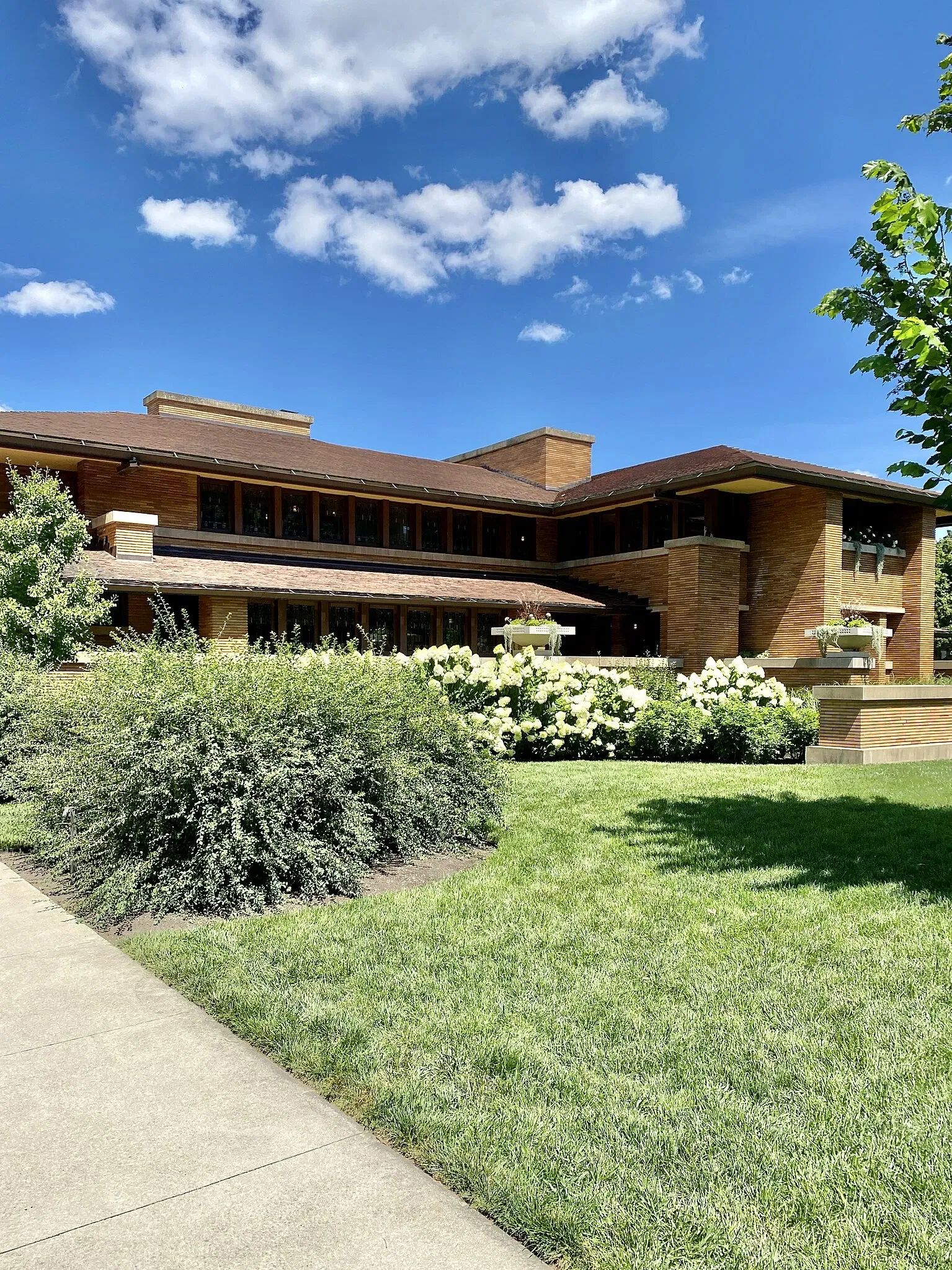 Darwin D. Martin House