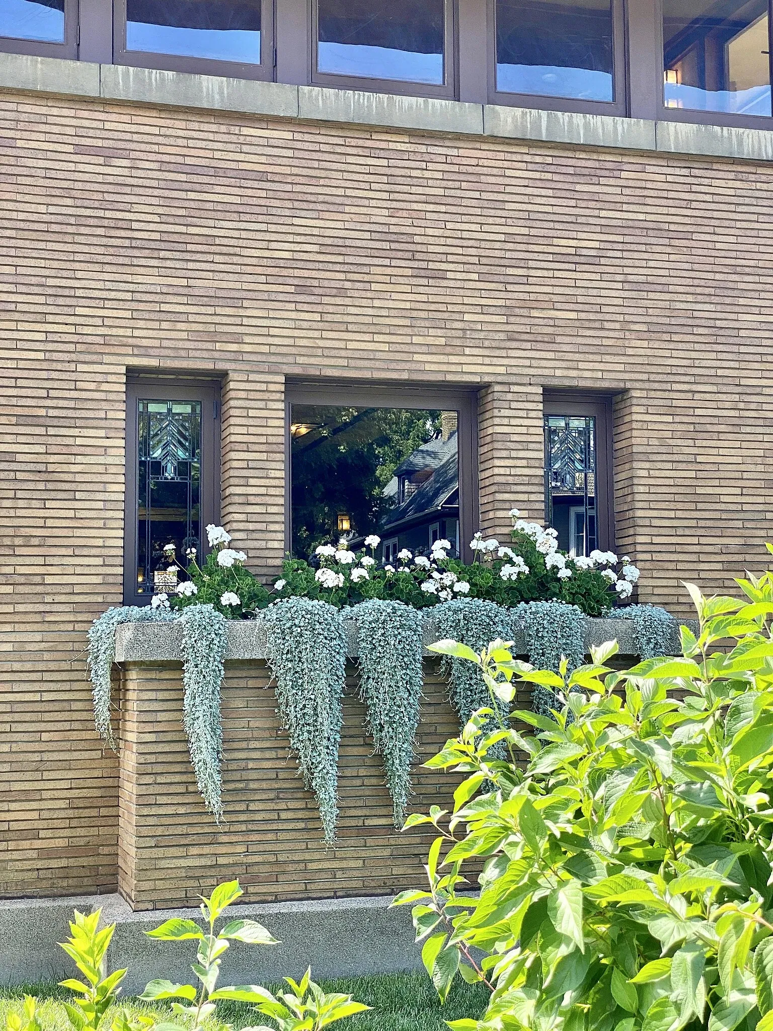 Casa Darwin D. Martin