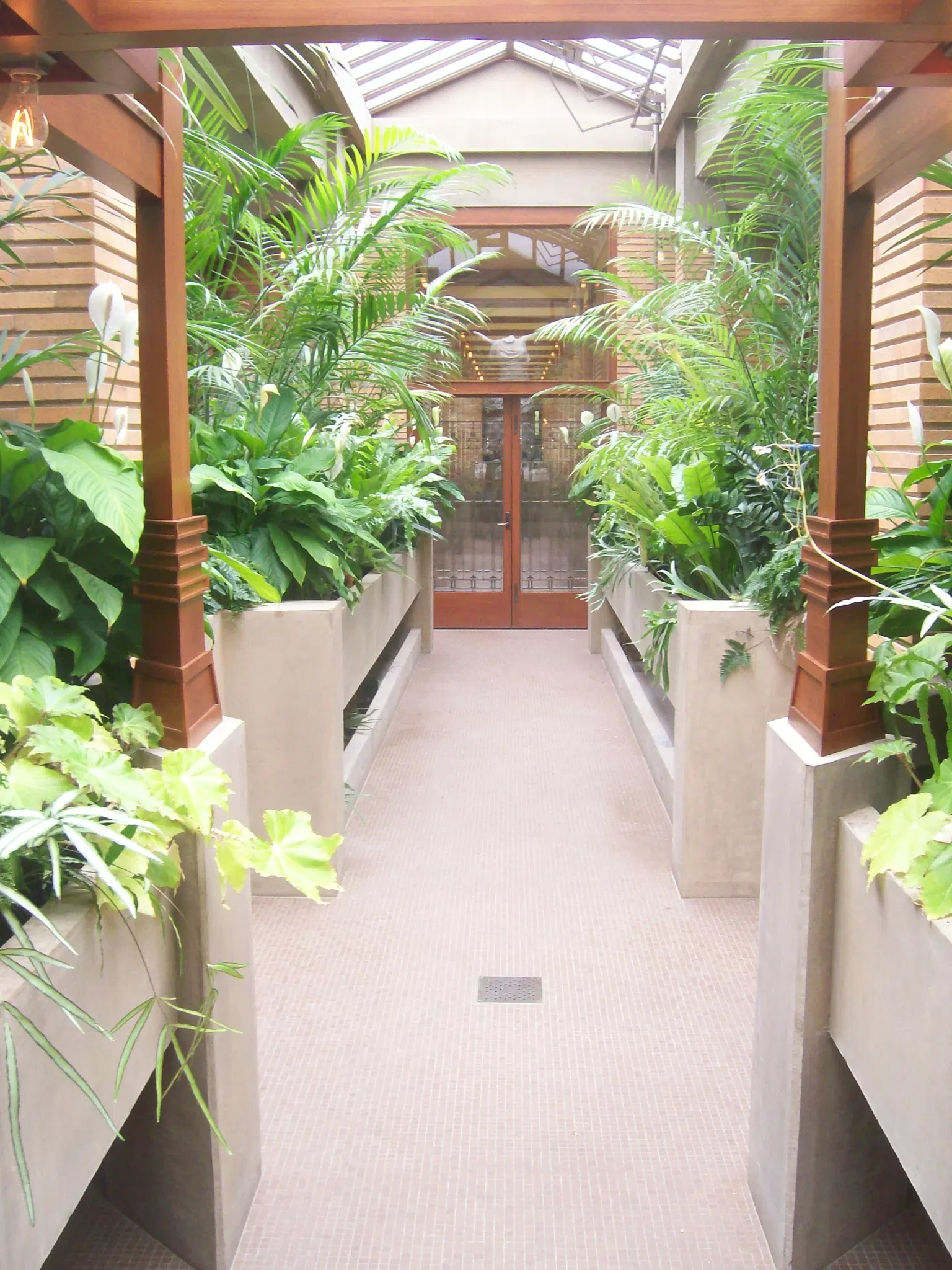 Darwin D. Martin House