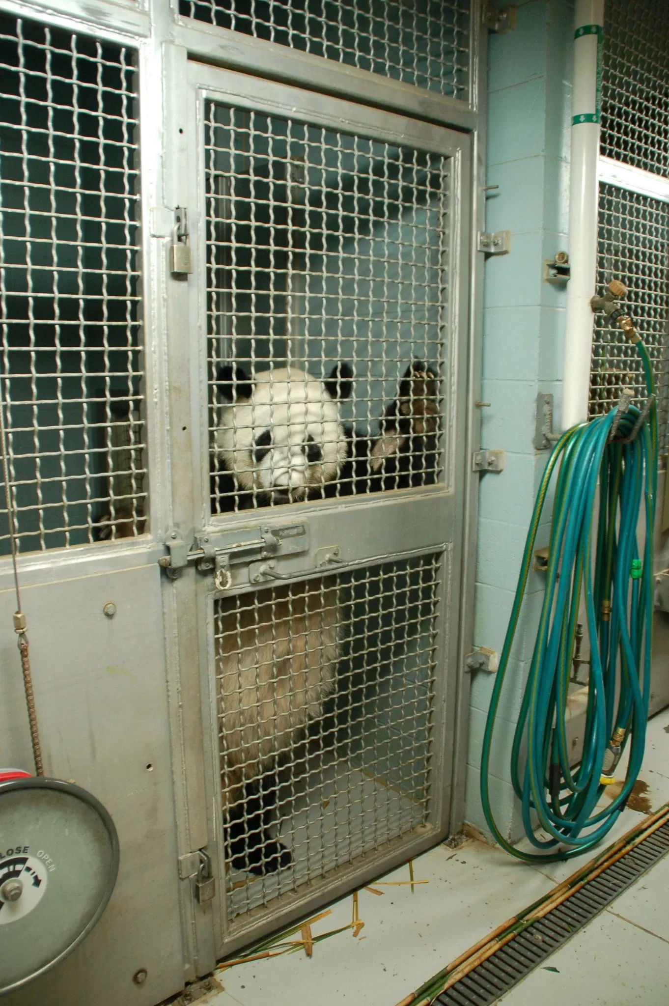 Zoológico de Atlanta