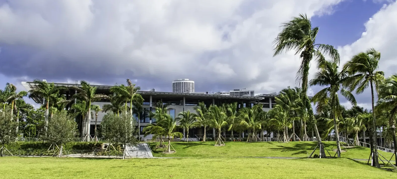 Pérez Art Museum Miami