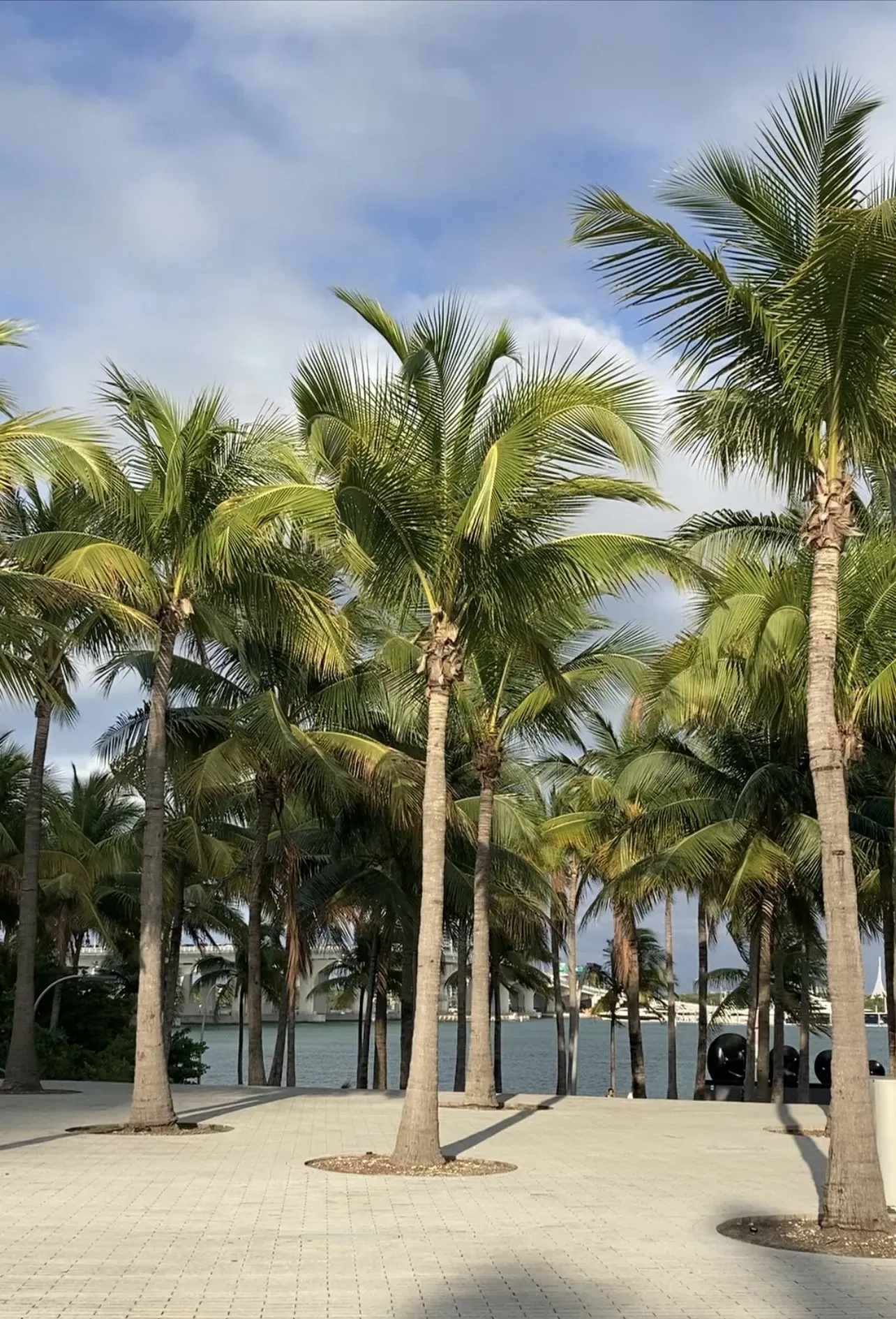 Pérez Art Museum Miami