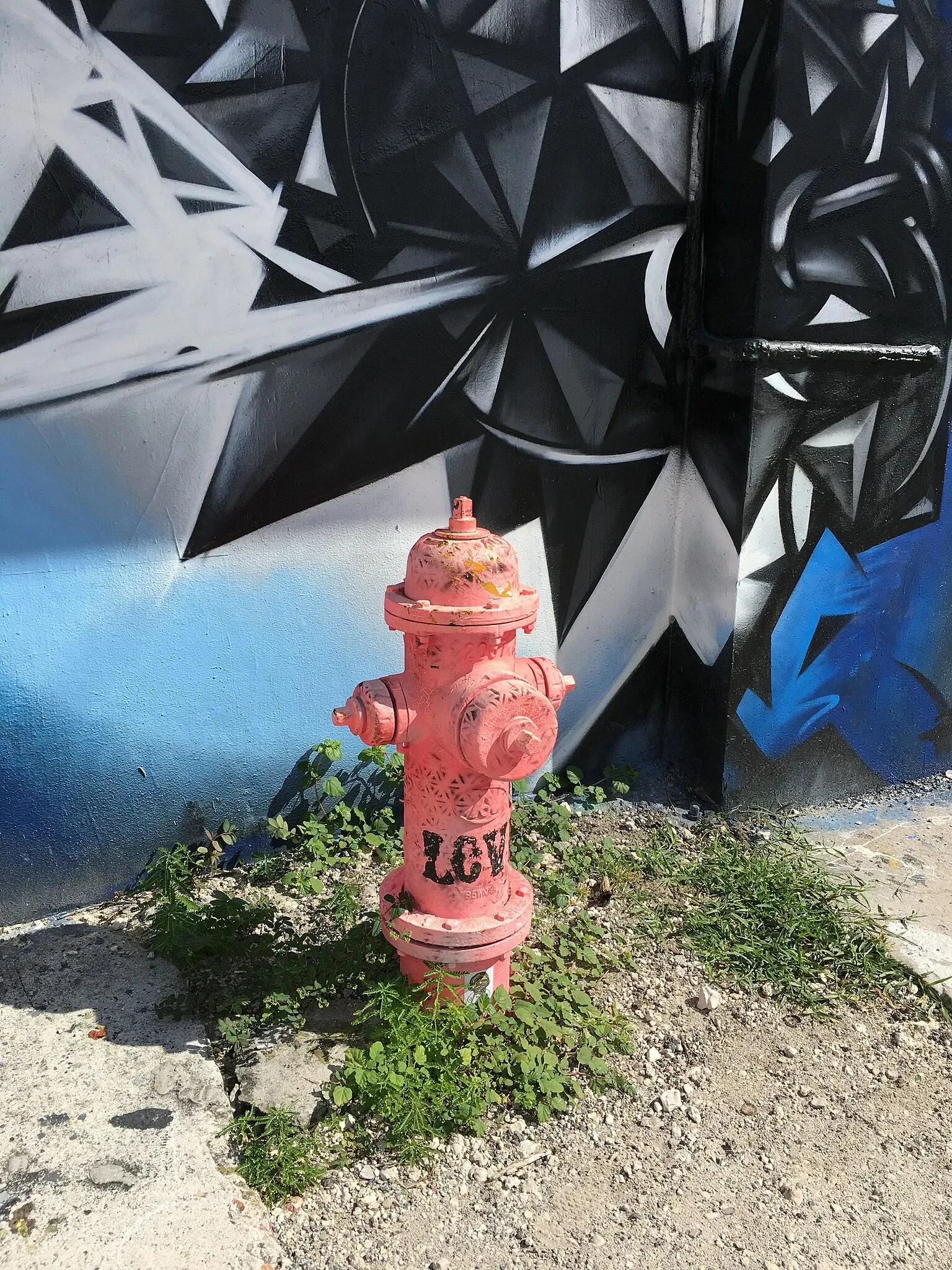 Wynwood Art District