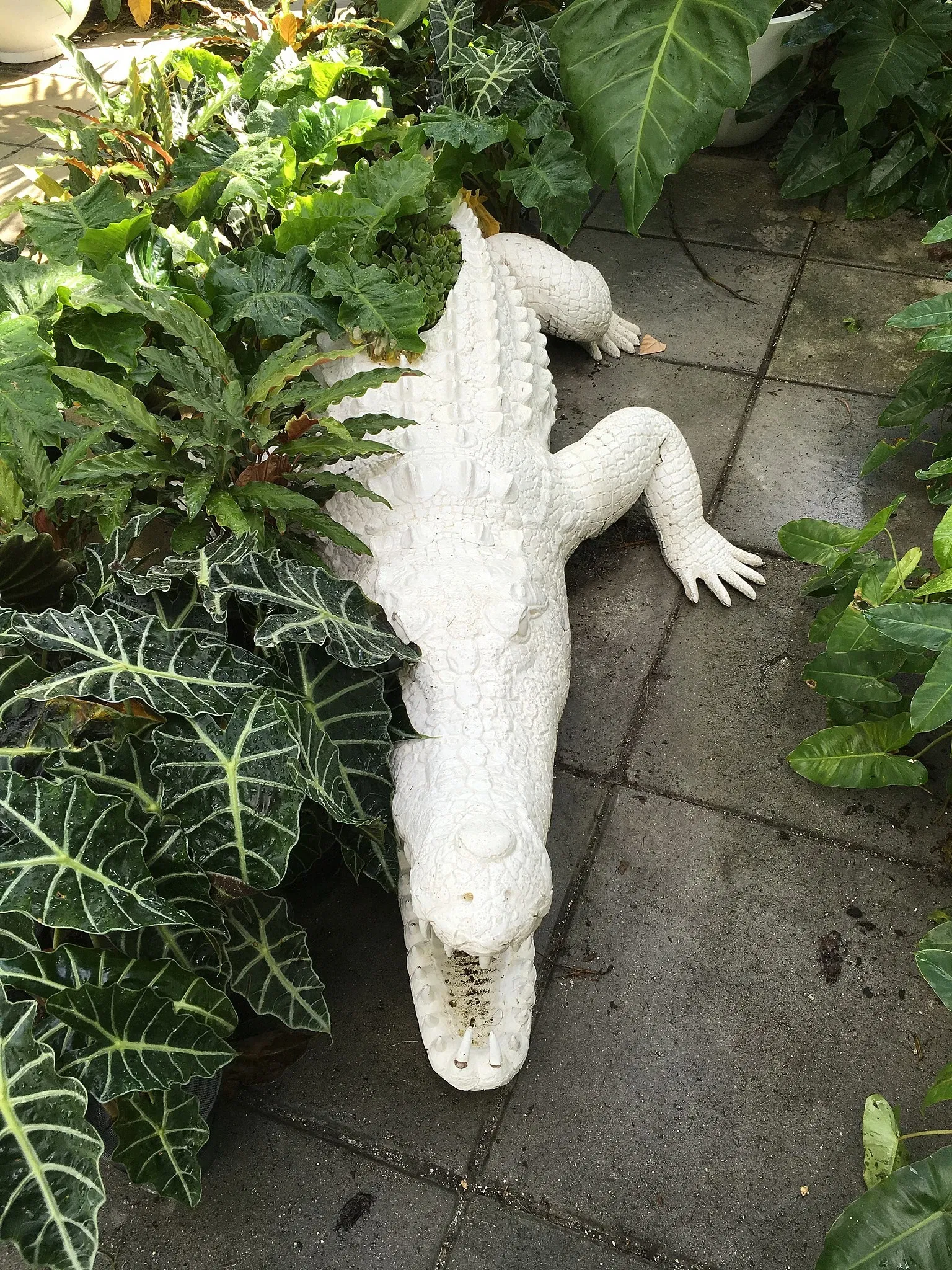 Wynwood Art District