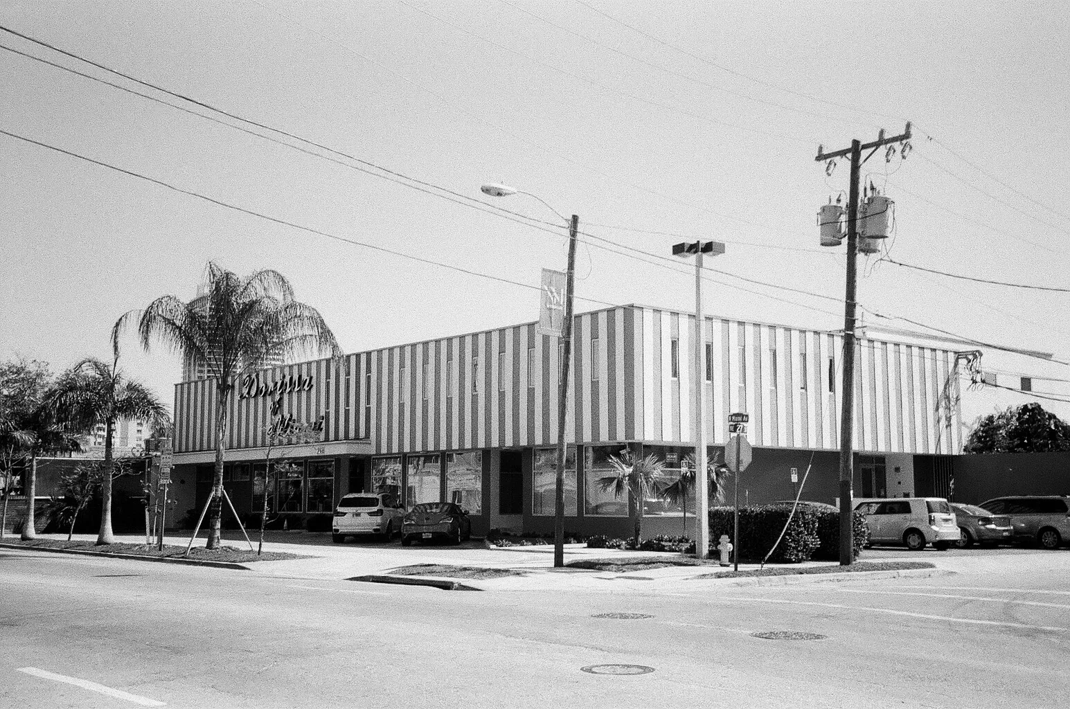 Wynwood Art District