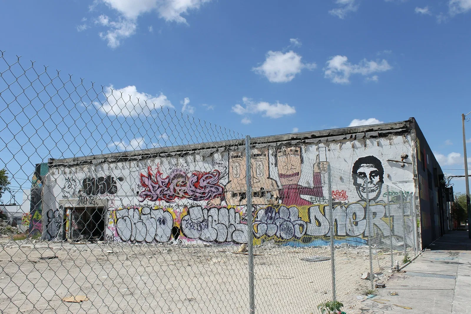Wynwood Art District