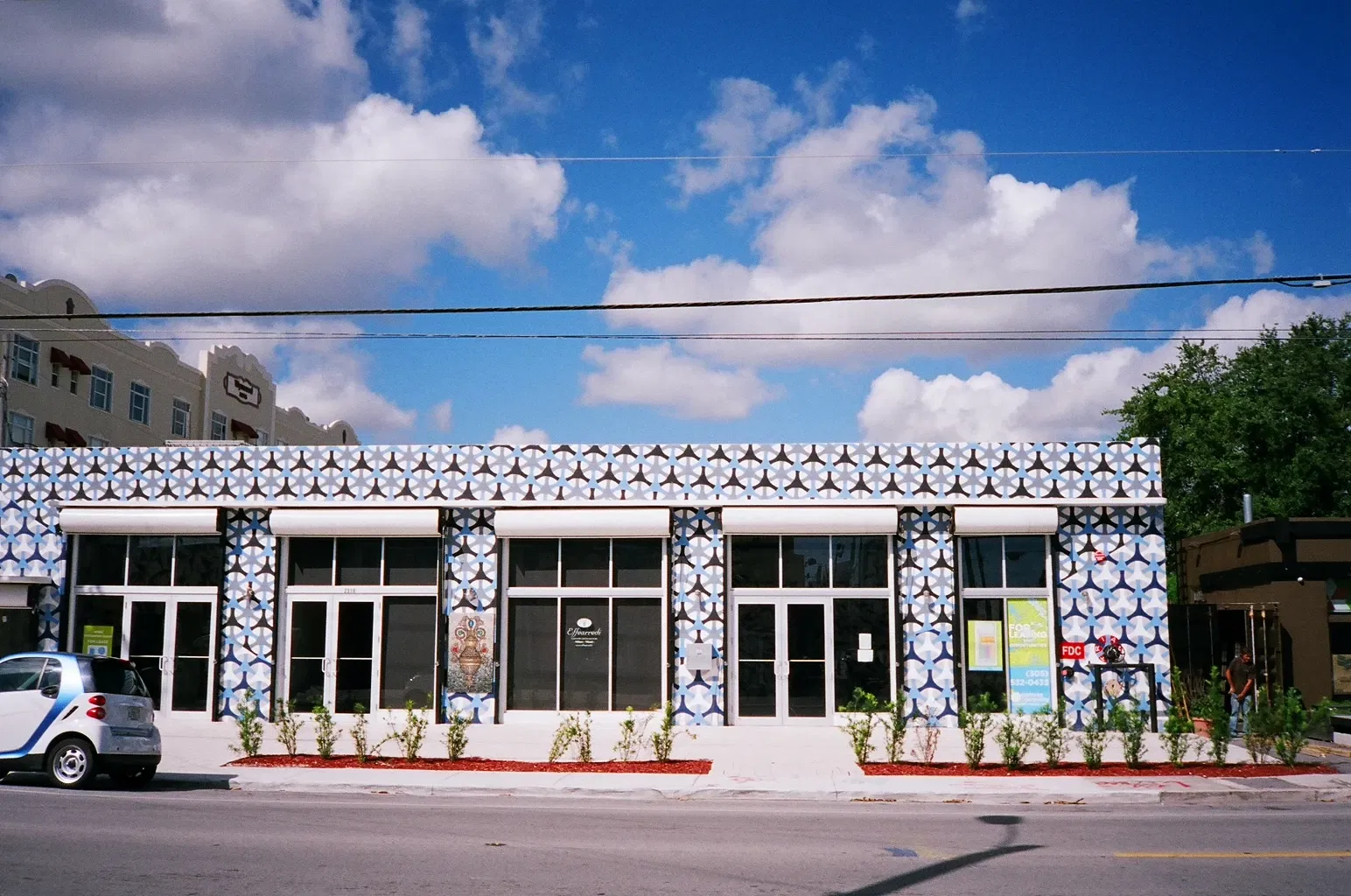 Wynwood Art District