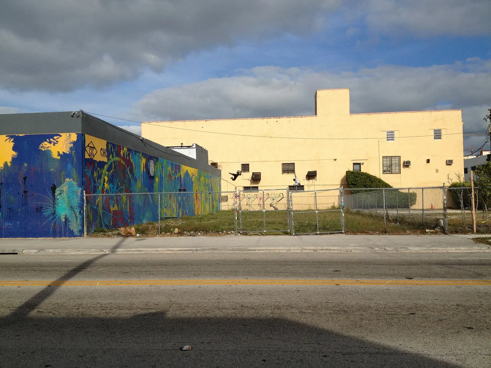 Wynwood Art District