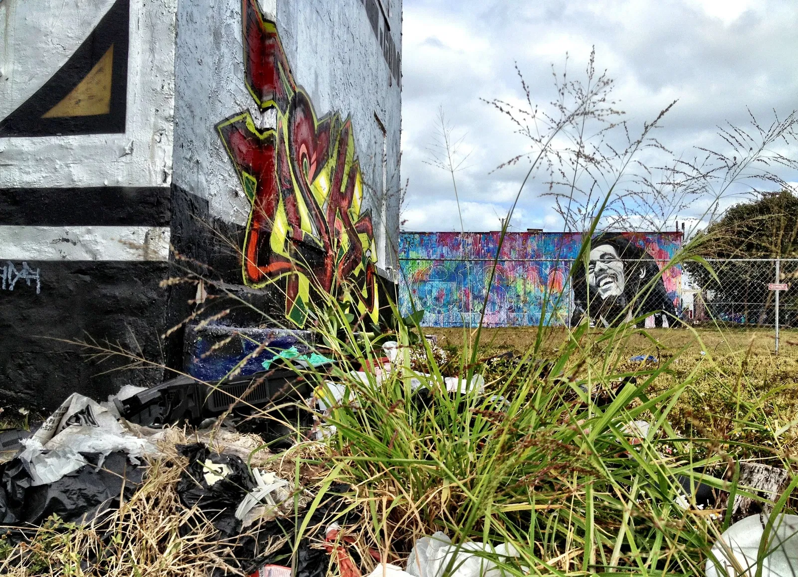 Wynwood Art District