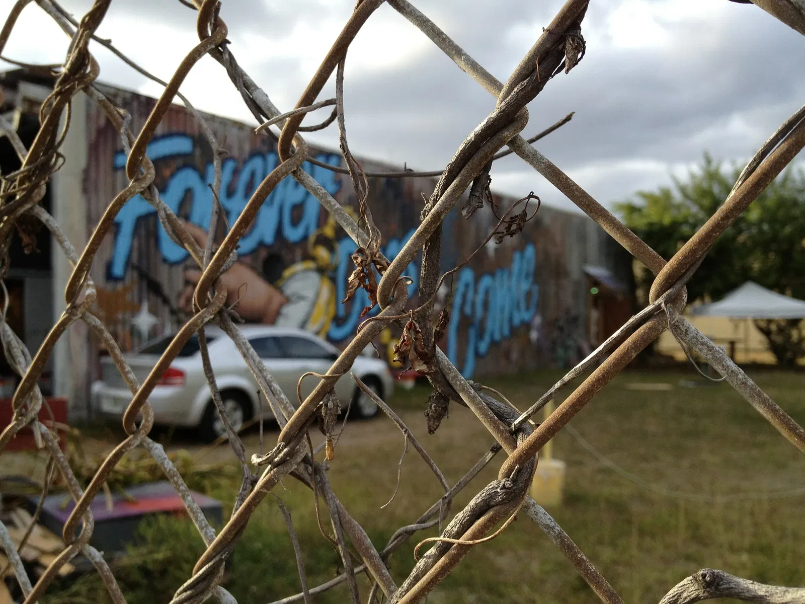 Wynwood Art District